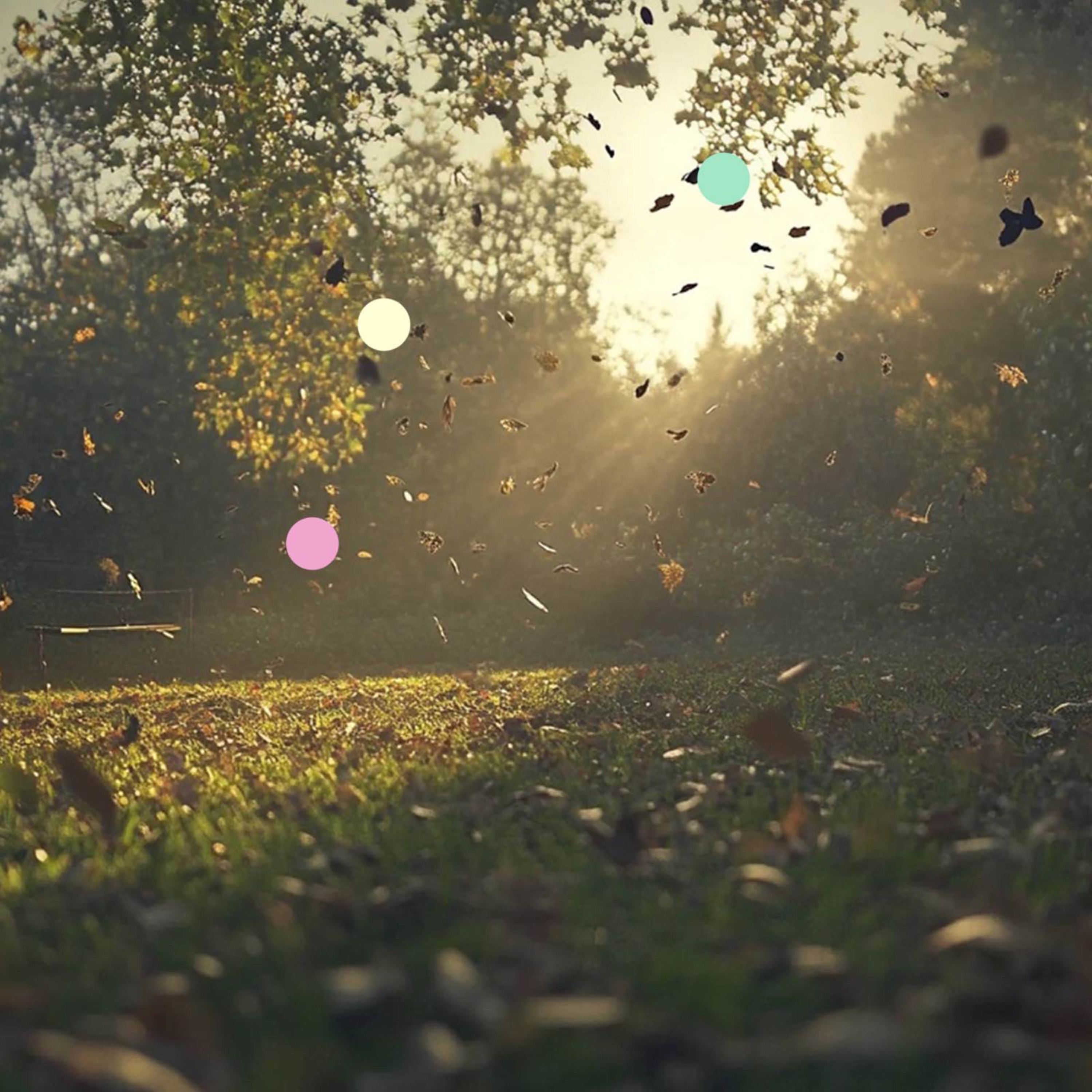 ゴールデン アワー リーフ | 深い眠りのための風の強い秋の音