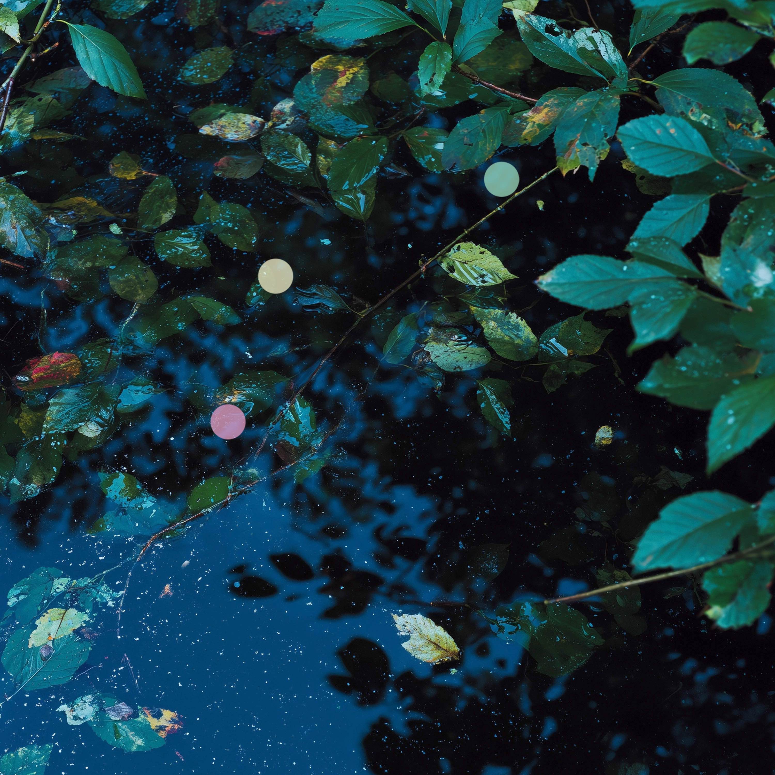 青々とした葉に降る繊細な雨