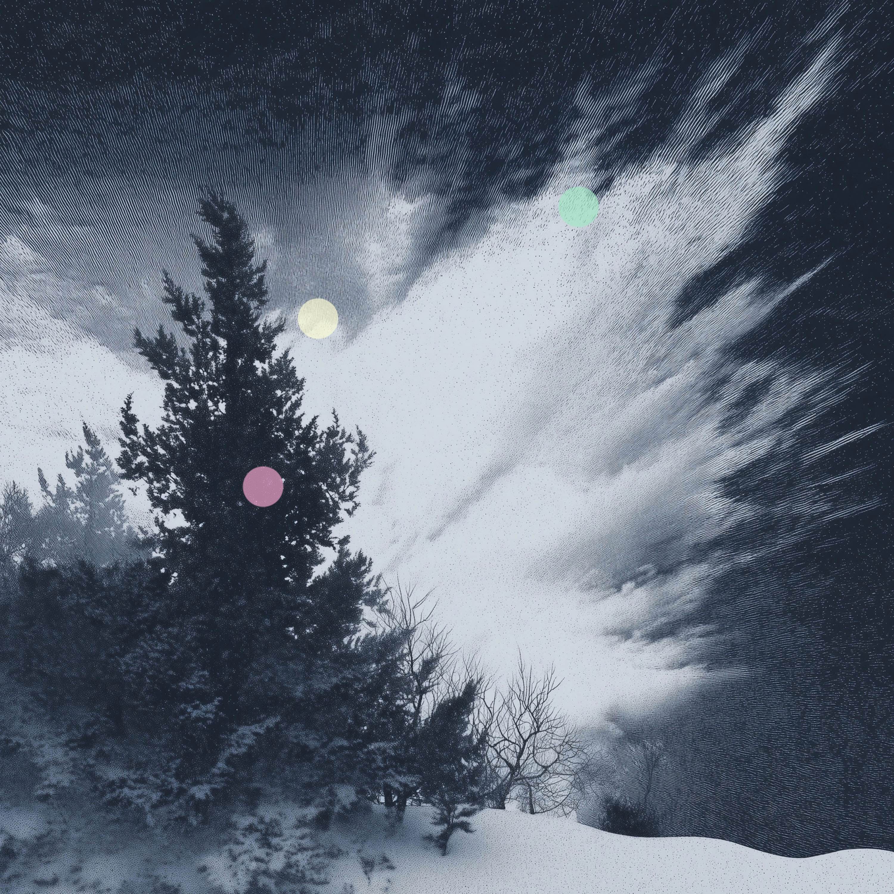 吹雪の風と激しく降る雪
