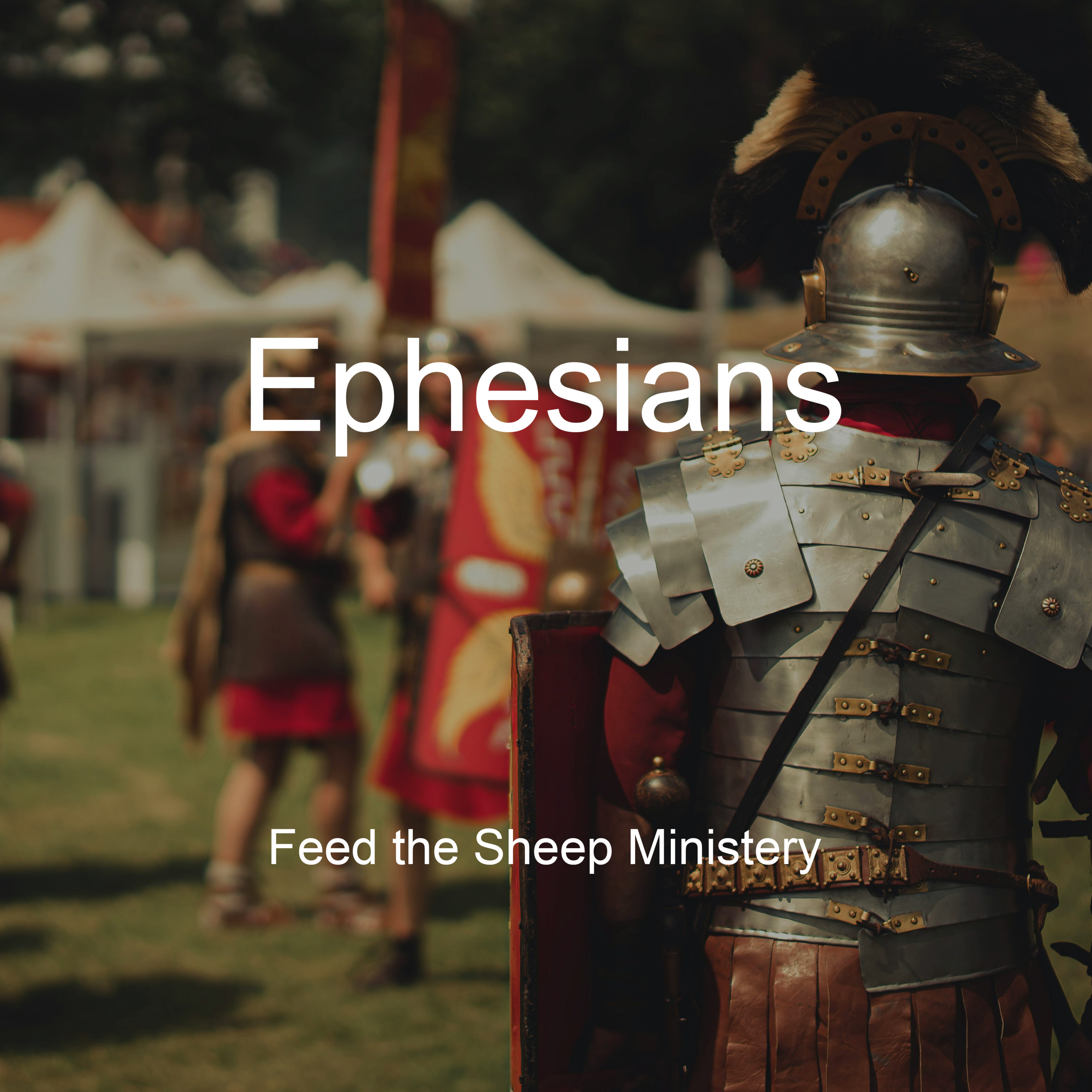 Feed The Sheep Ministry