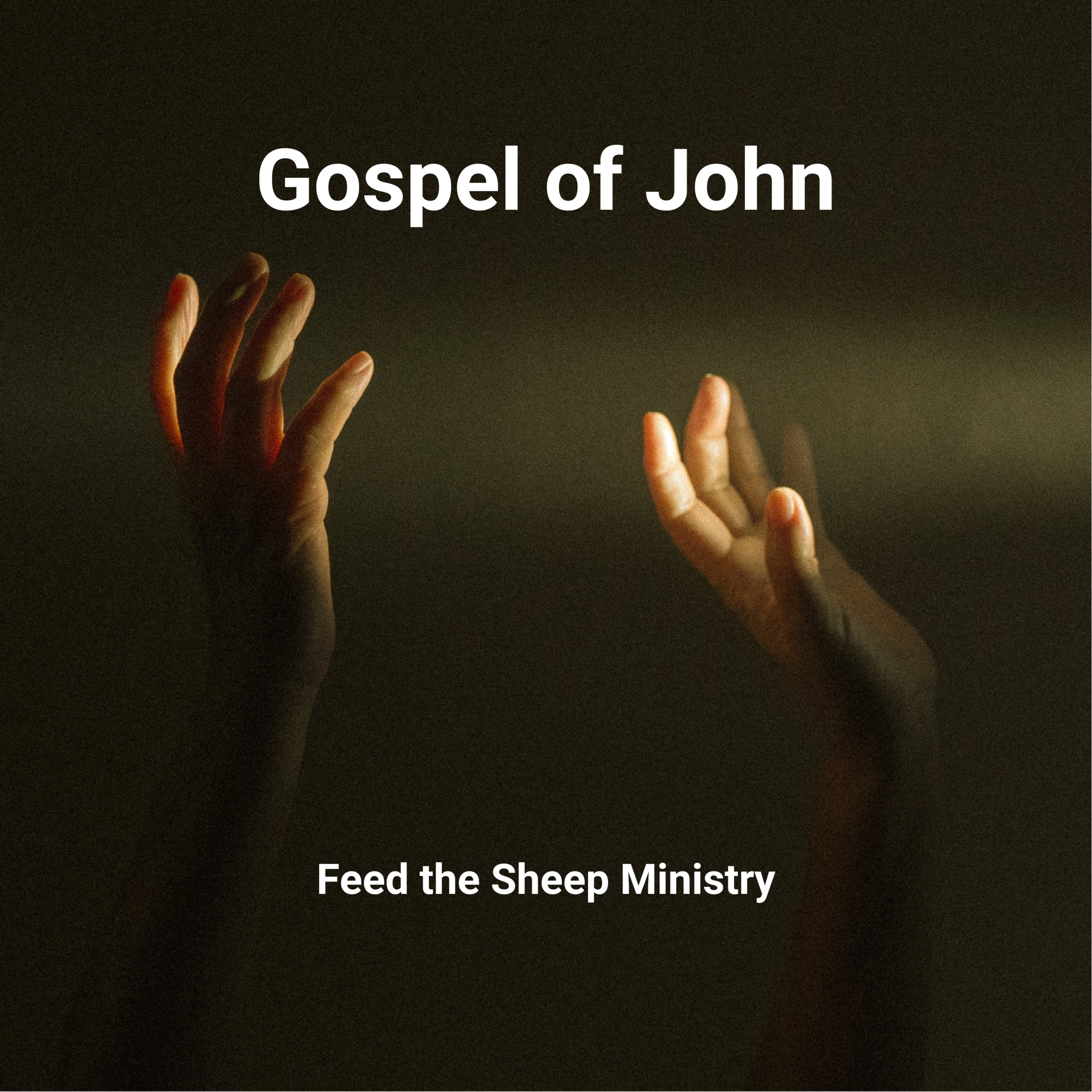 Feed The Sheep Ministry