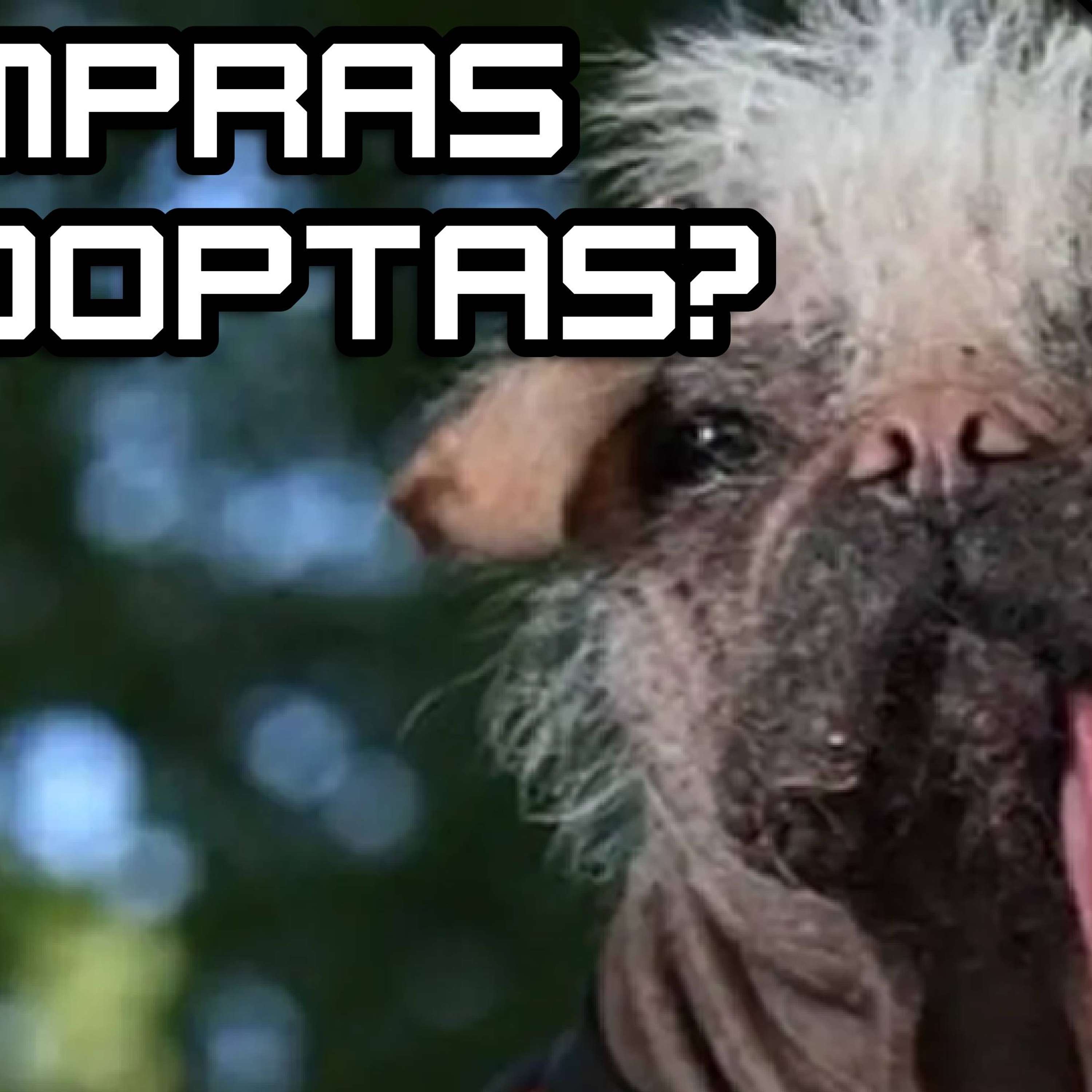 Viejos Payasos