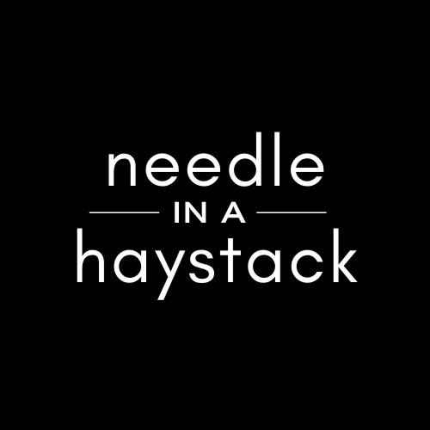 Needle In A Haystack Podcast