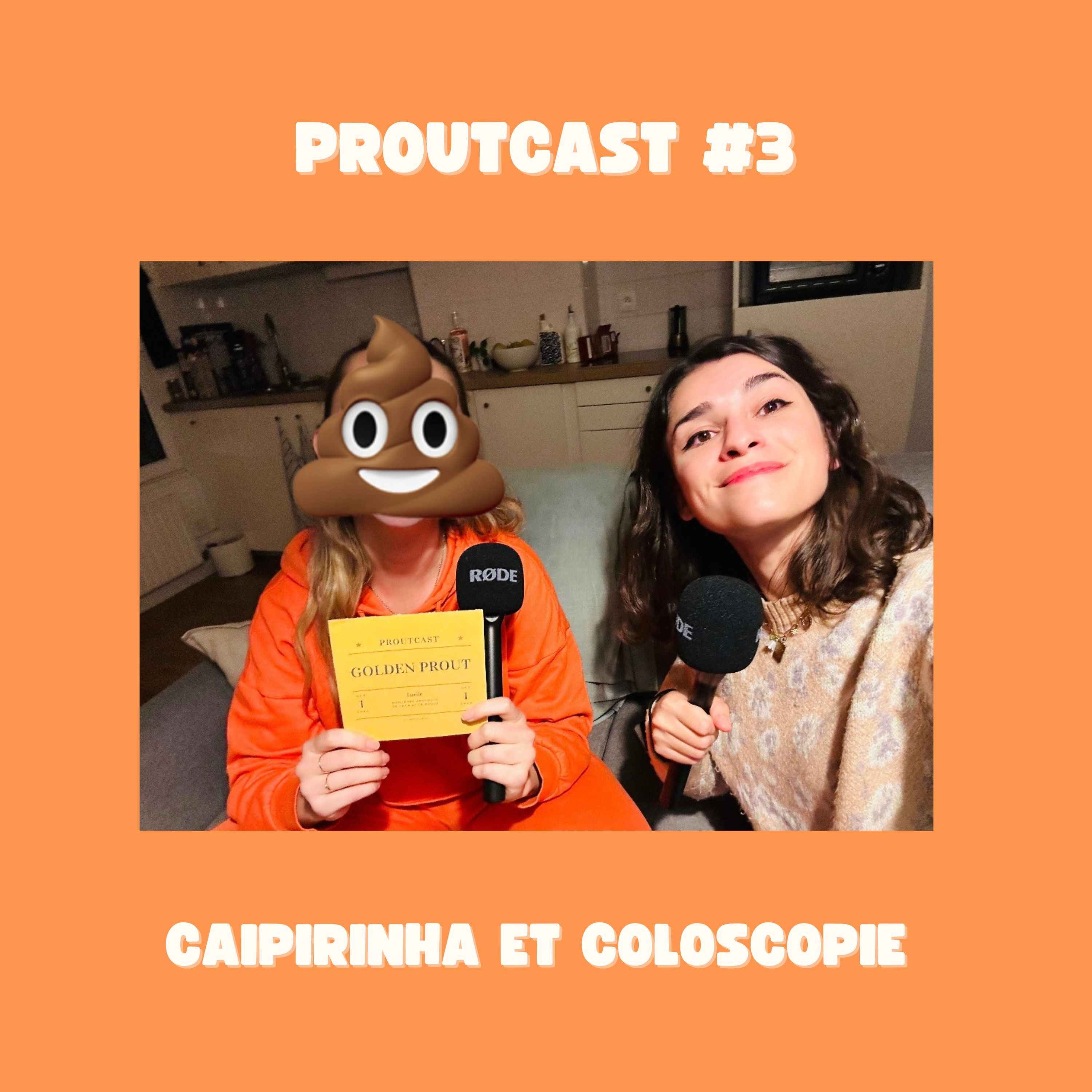 PROUTCAST %233
