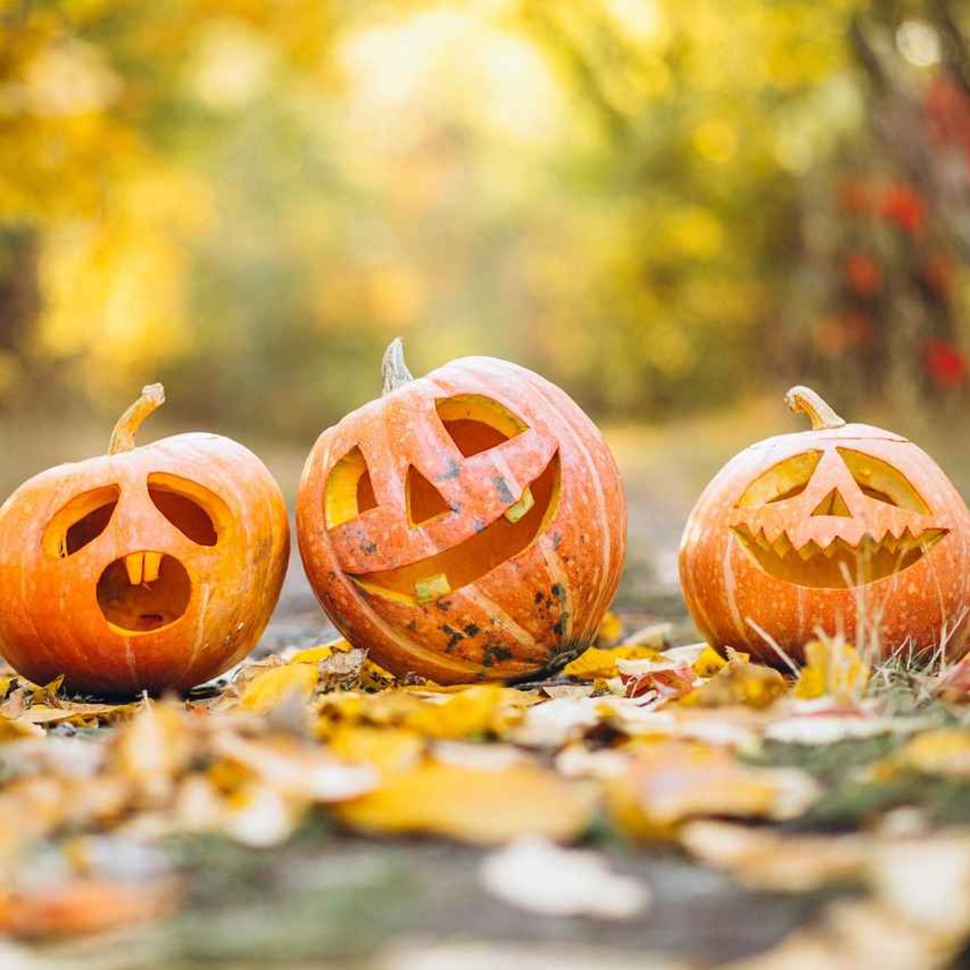 6. 孩子们，过万圣节喽 | Halloween With Kids