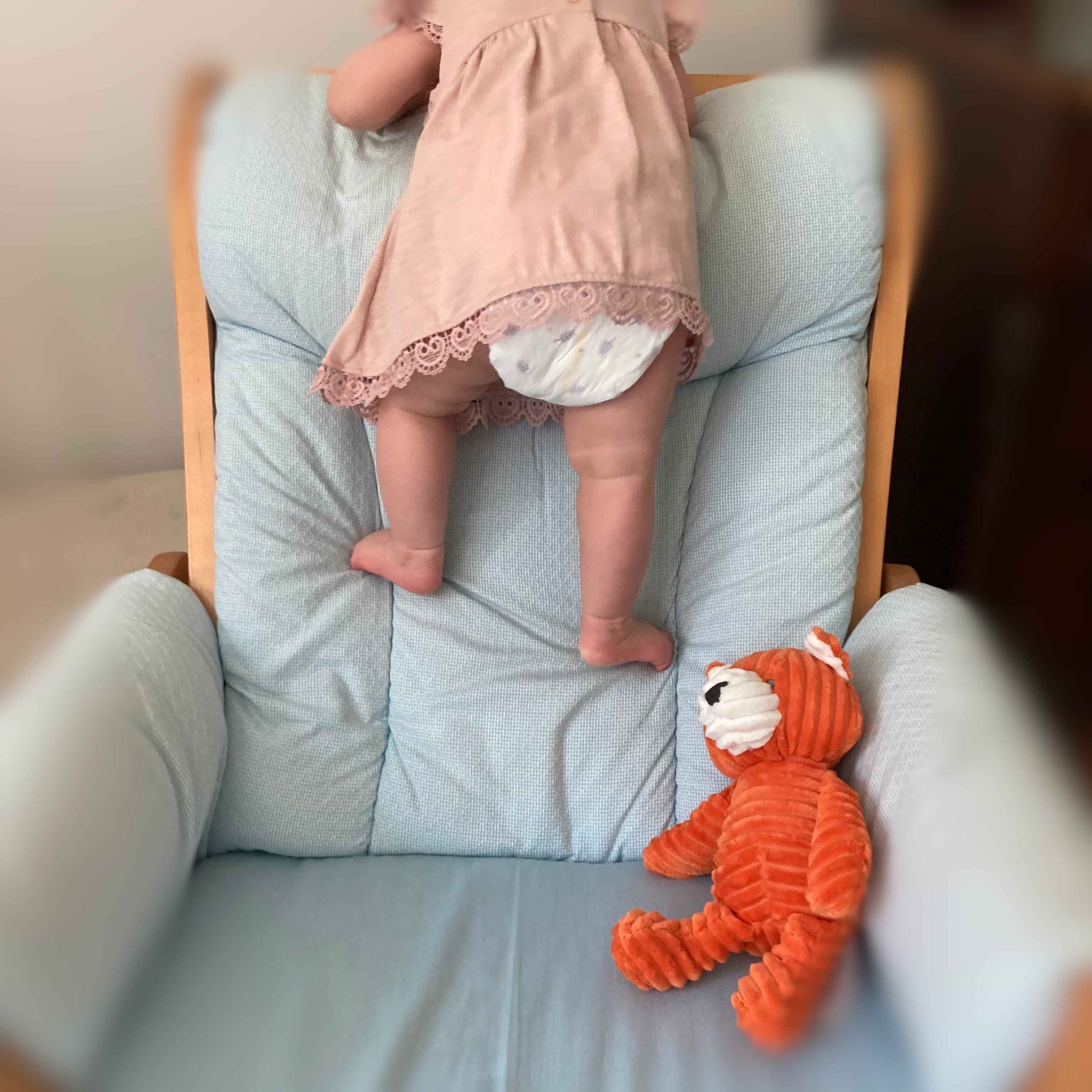 12. 宝宝拍照片 | Taking Baby Photos