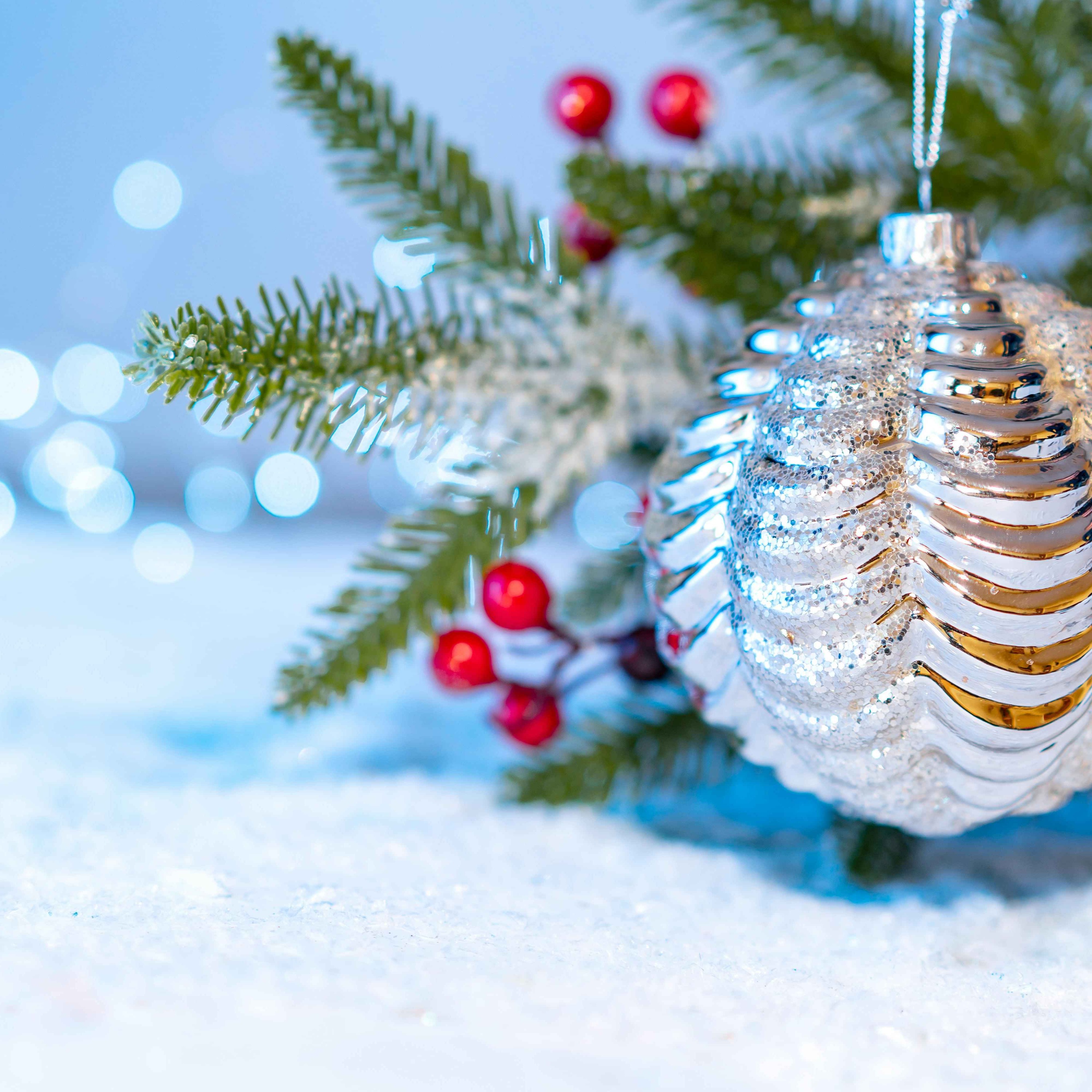 15. 圣诞快乐! | Christmas Day!