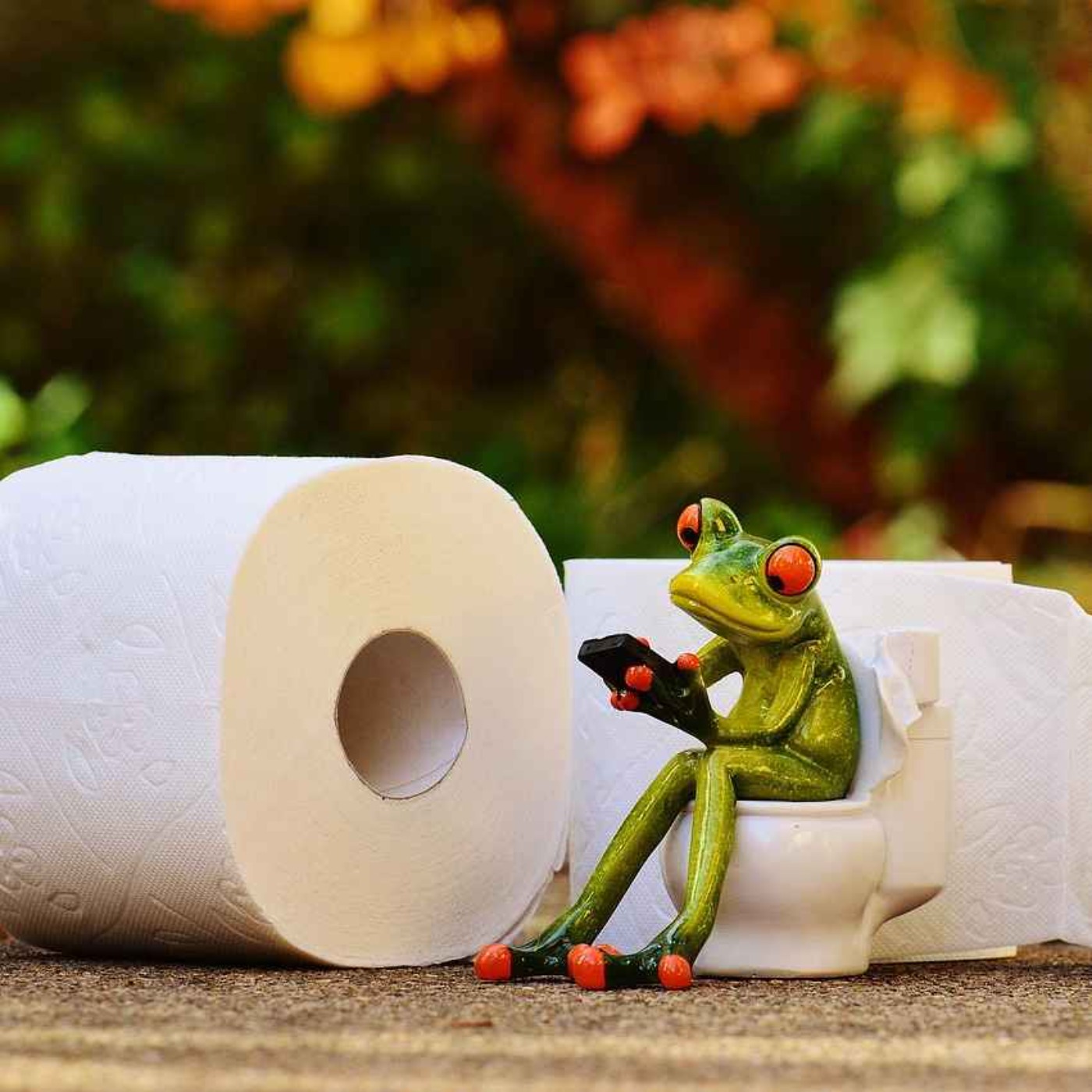 21. 如厕训练 | Potty Training