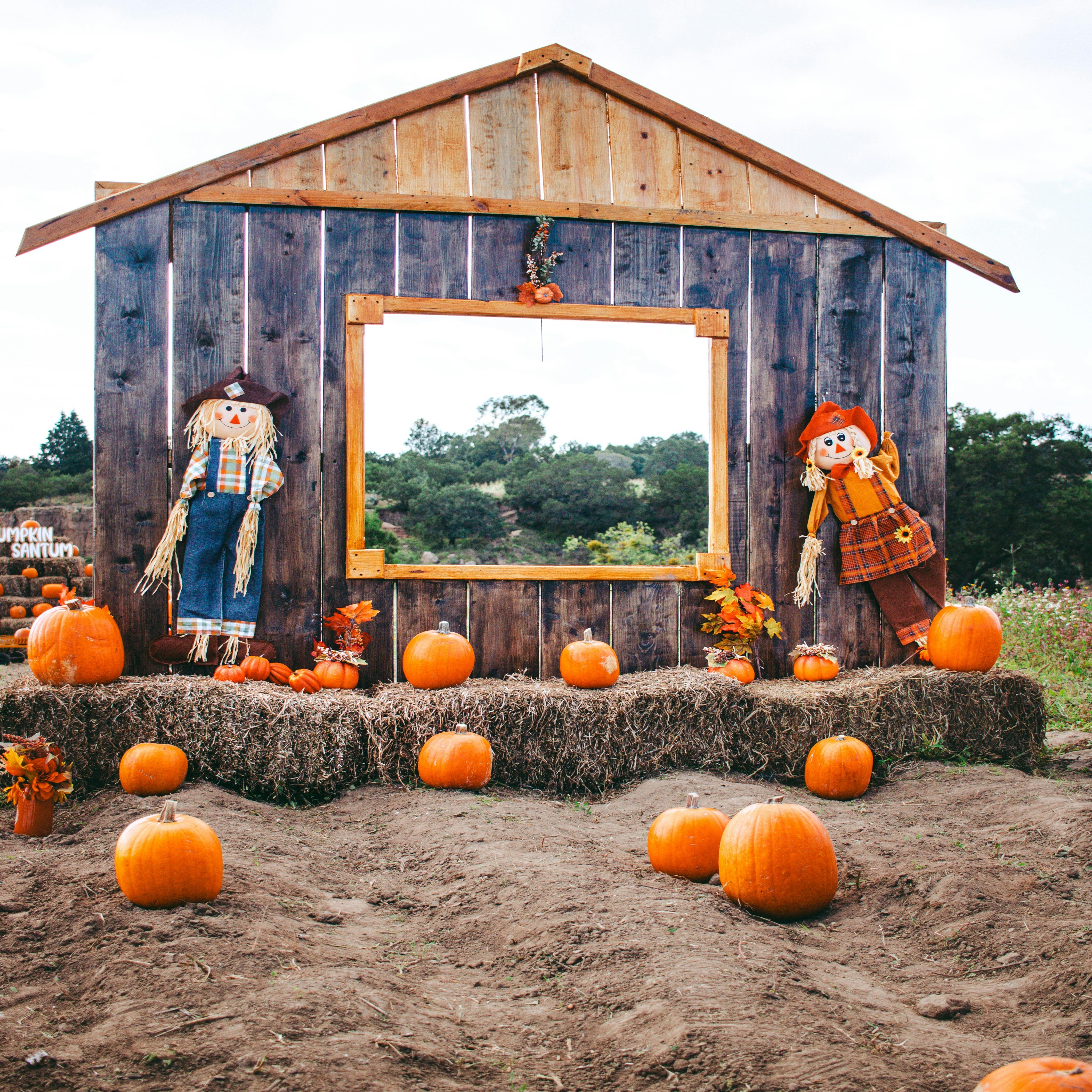 59. 秋季庆典 | Fall Festivals