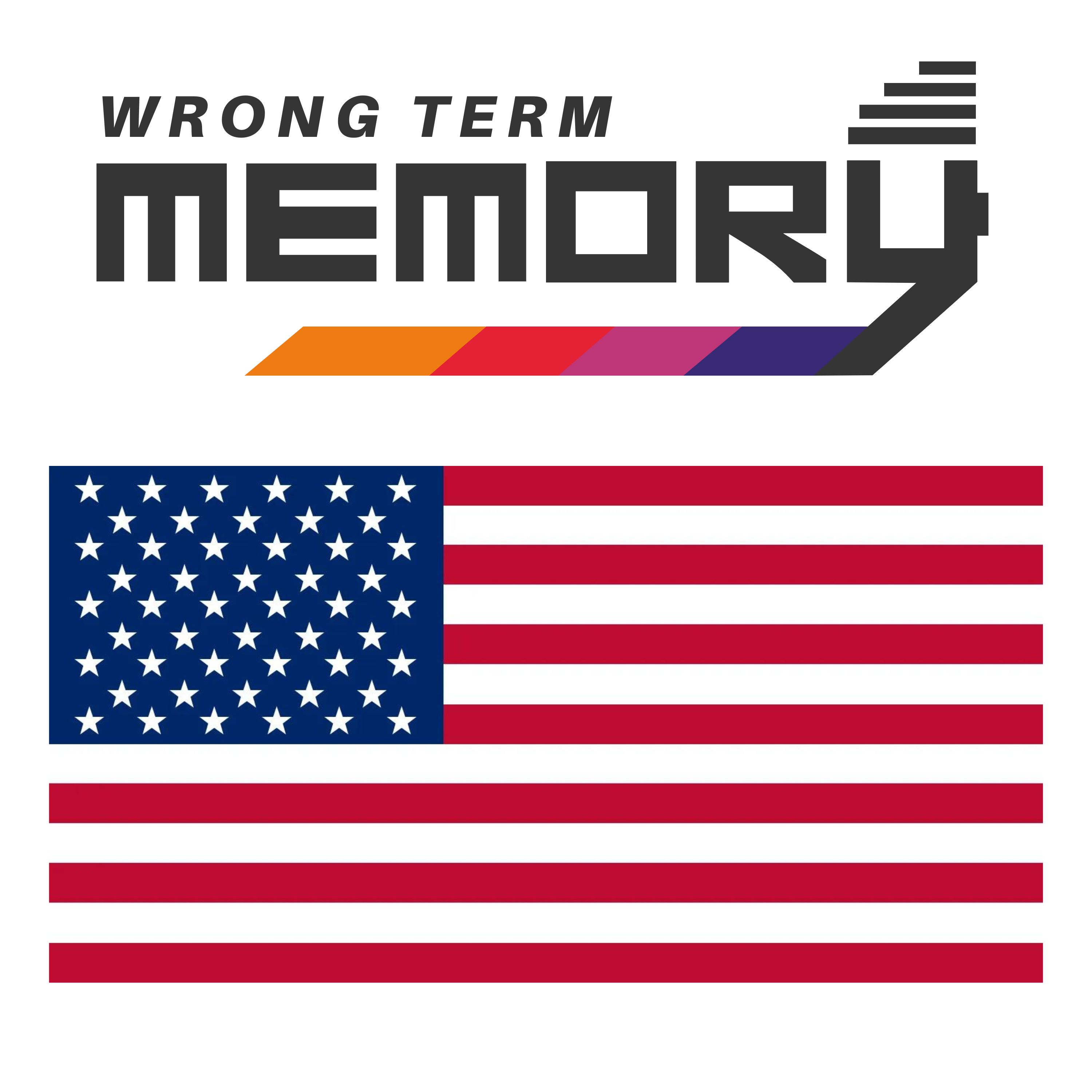 Wrong Term Memory