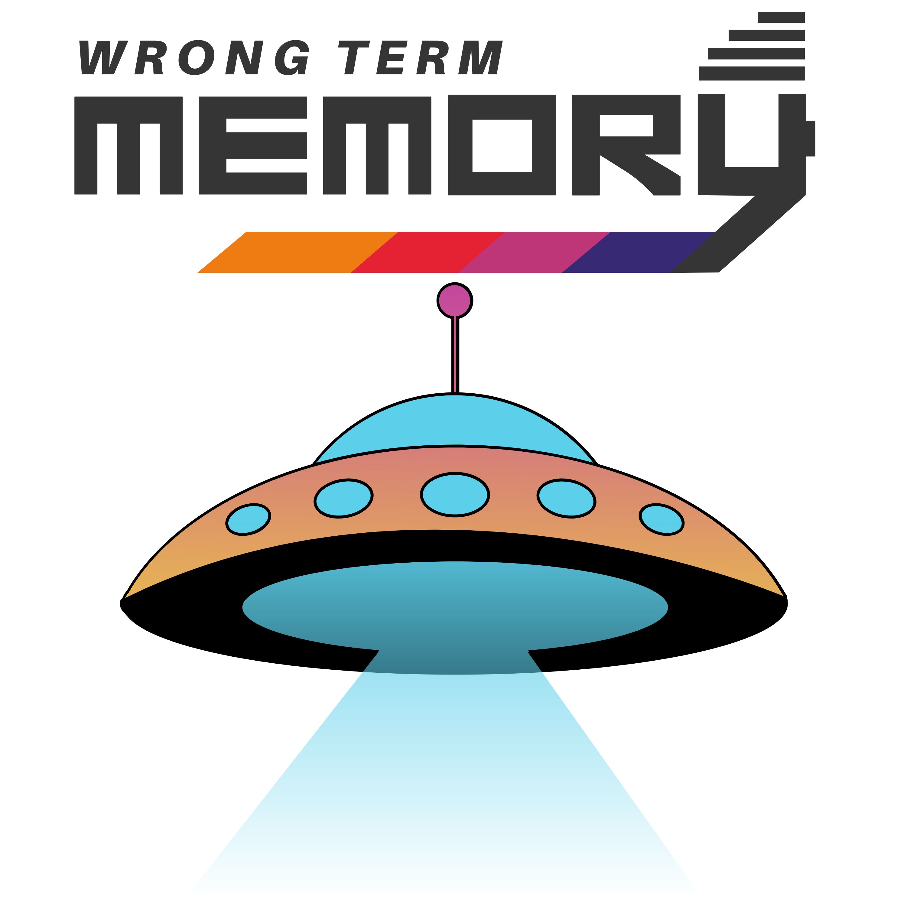 Wrong Term Memory