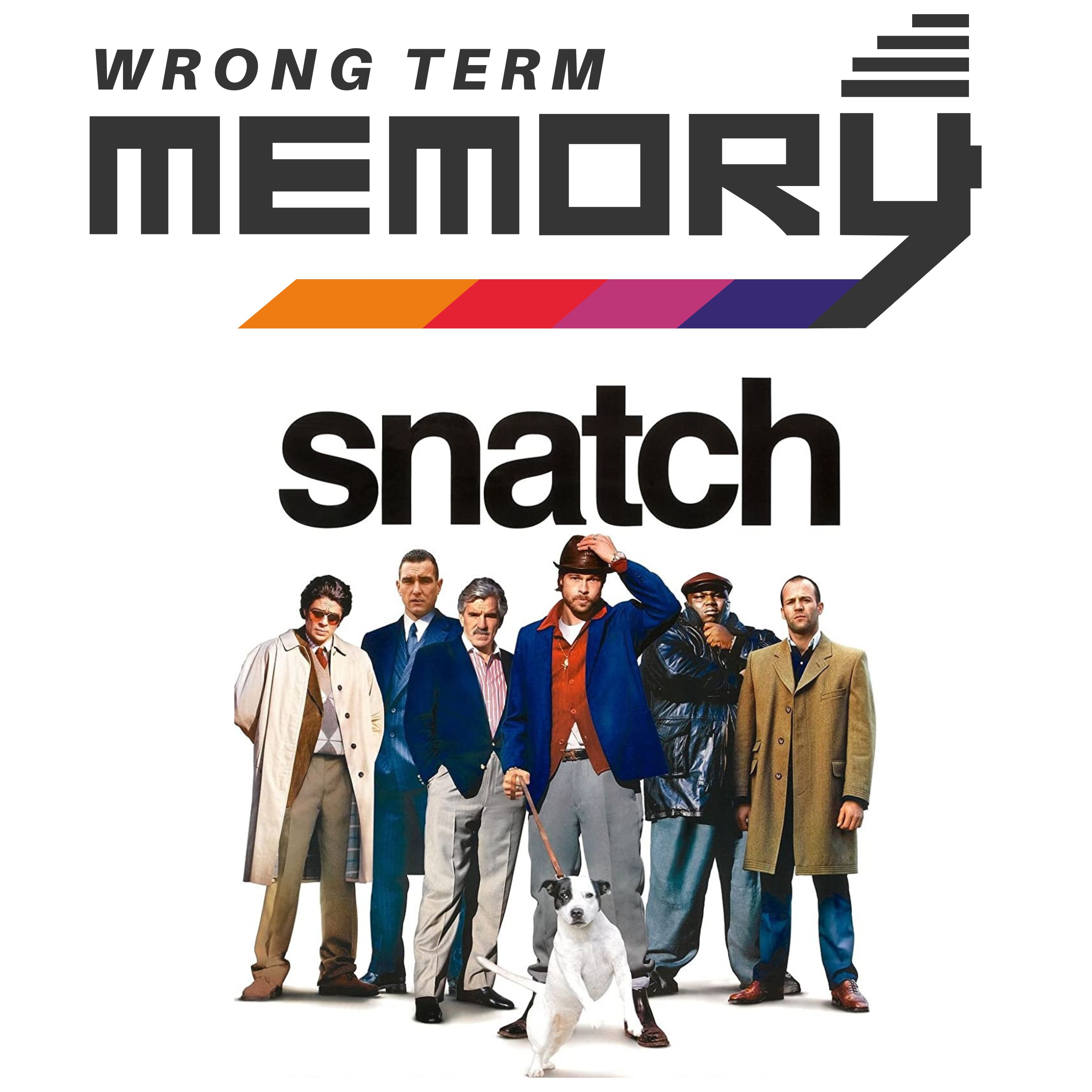 Wrong Term Memory