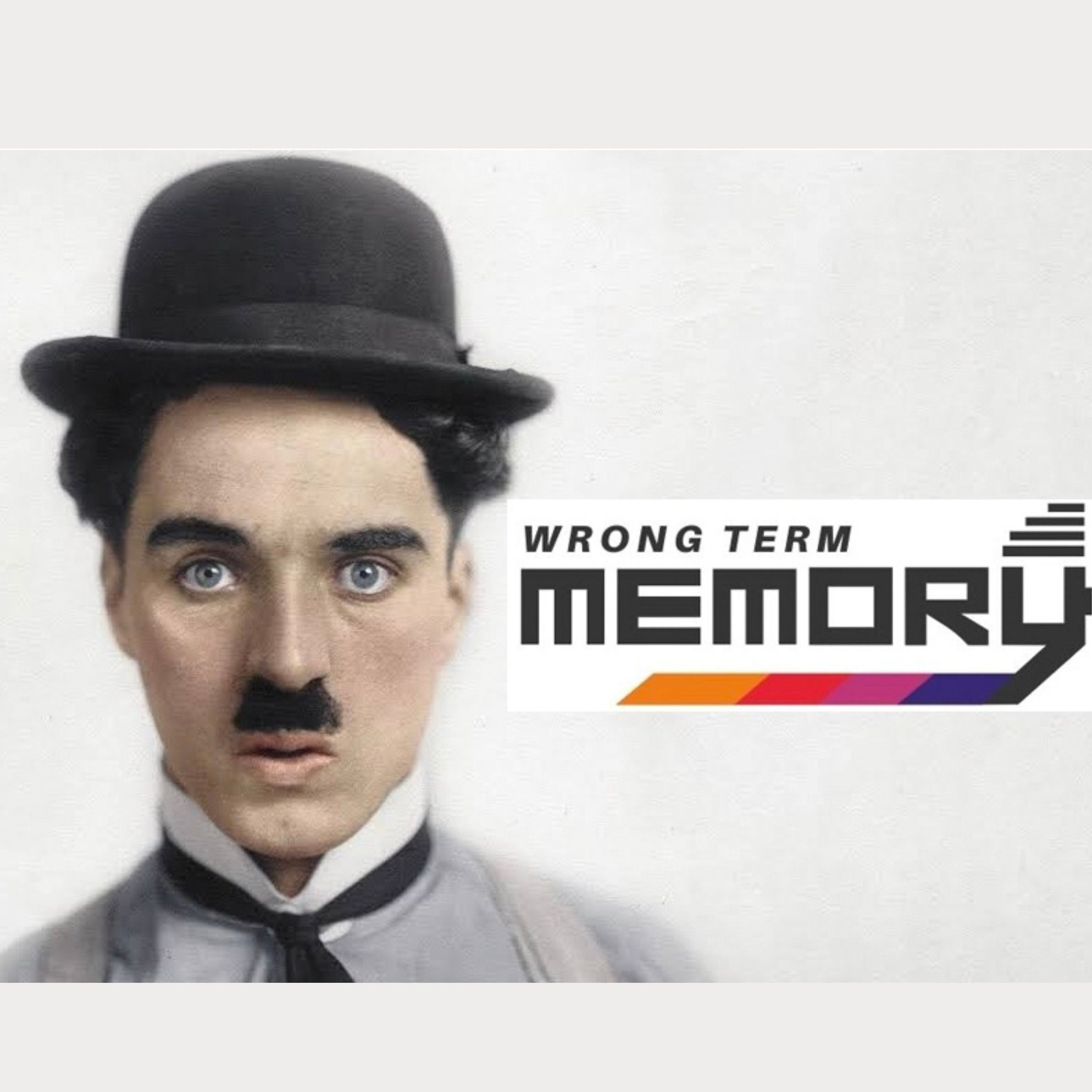 Wrong Term Memory