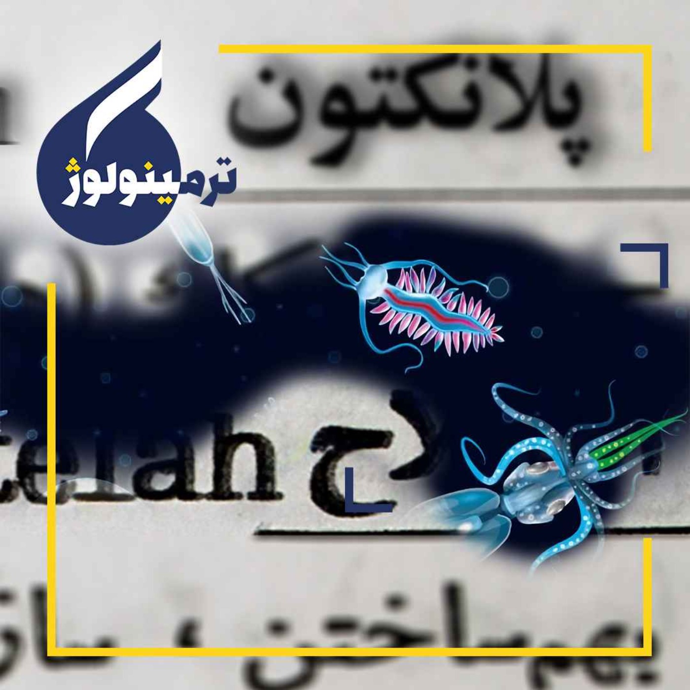پلانکتون