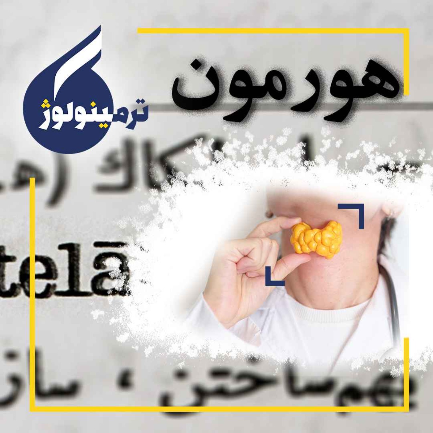 پادکست ترمینولوژی