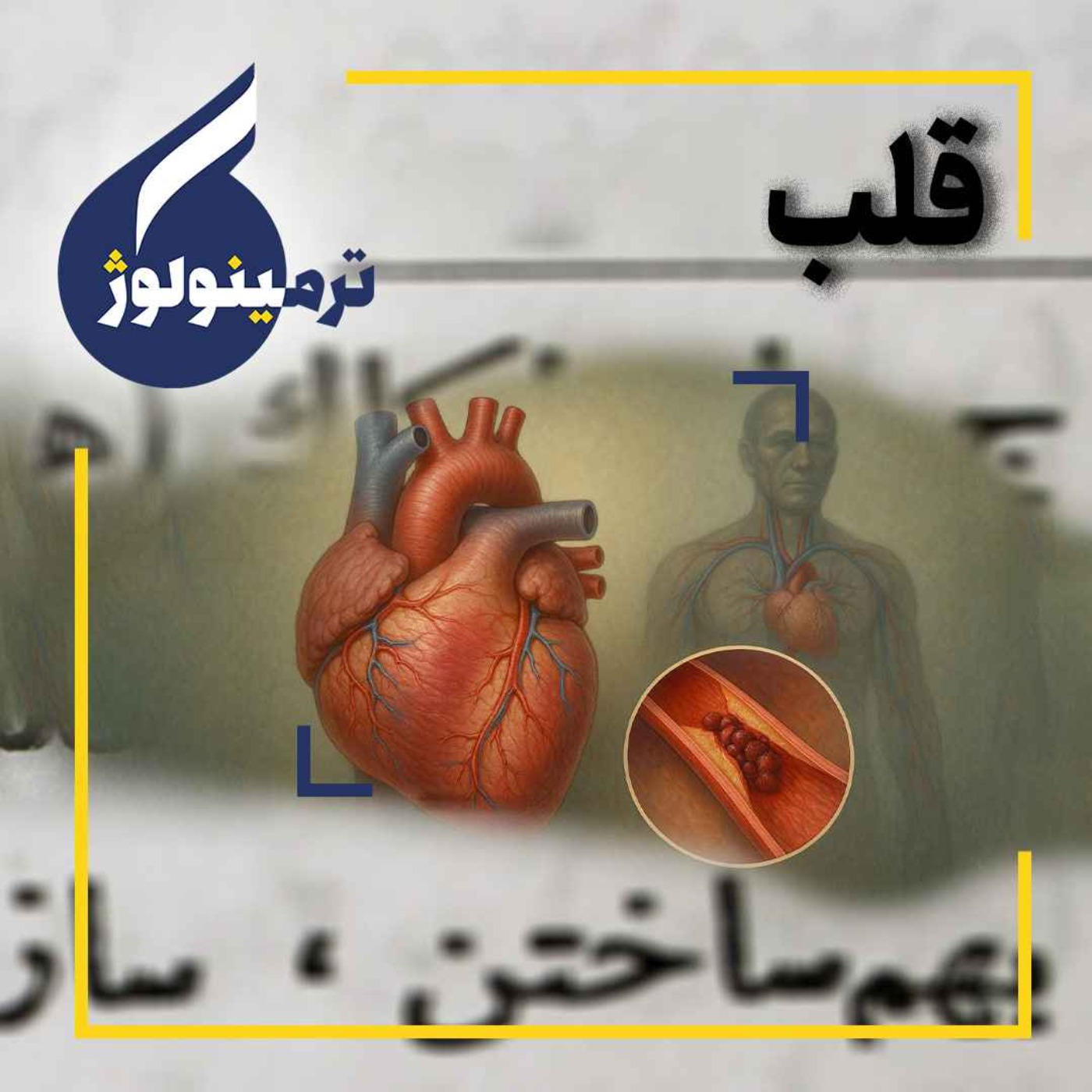قلب؛ موتور زندگی انسان