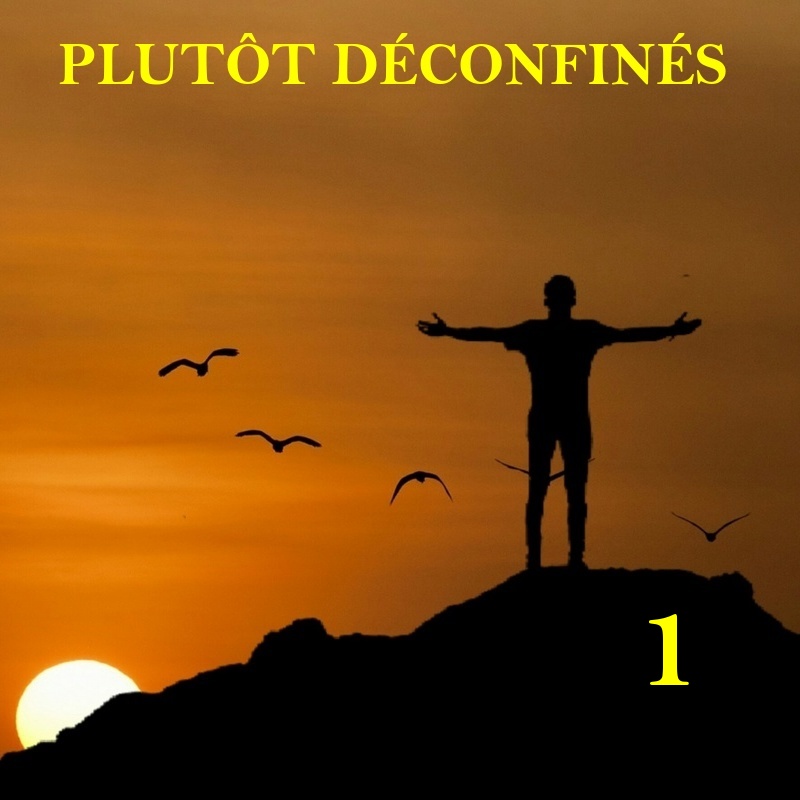 Plutôt Caustique