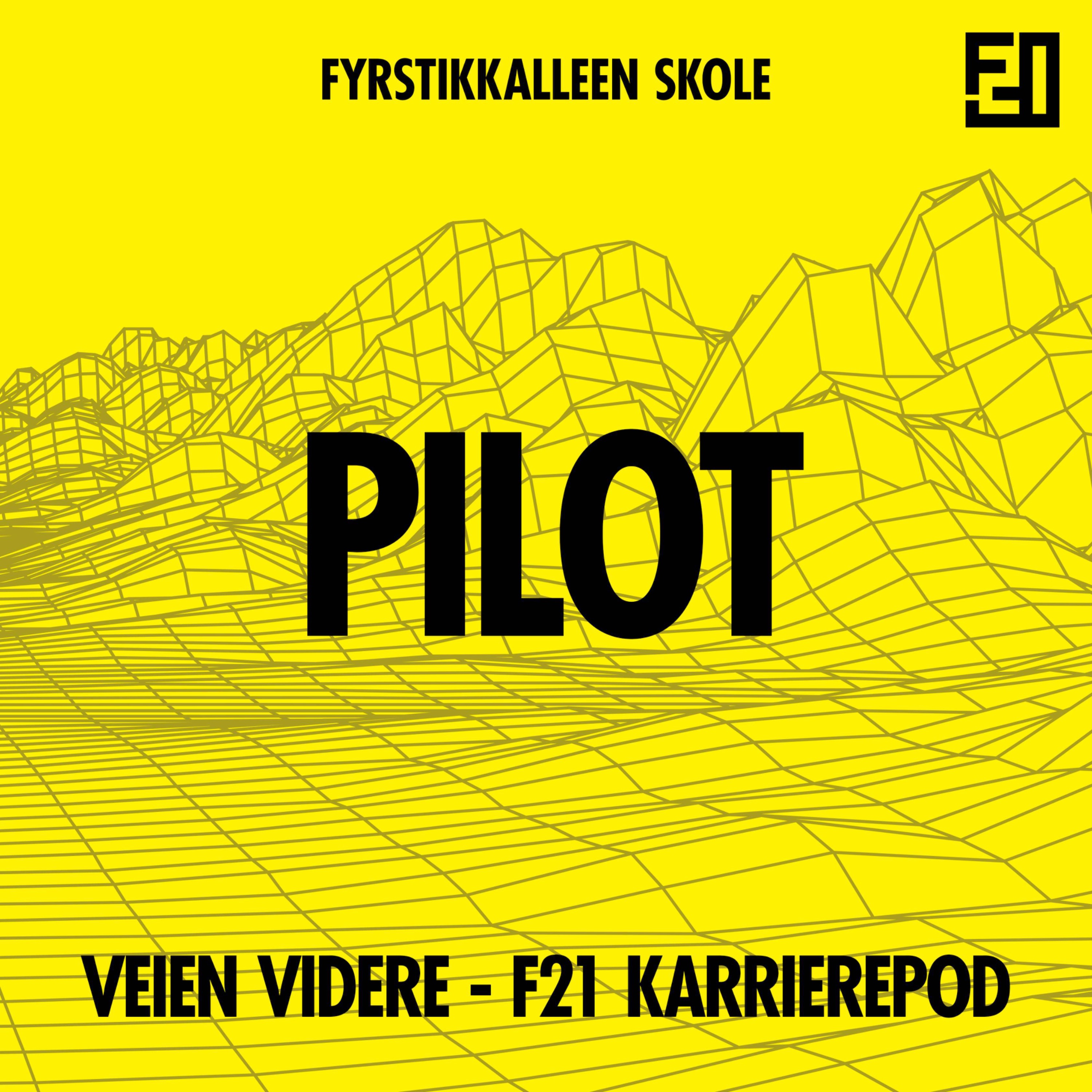Veien videre - F21 karrierepod