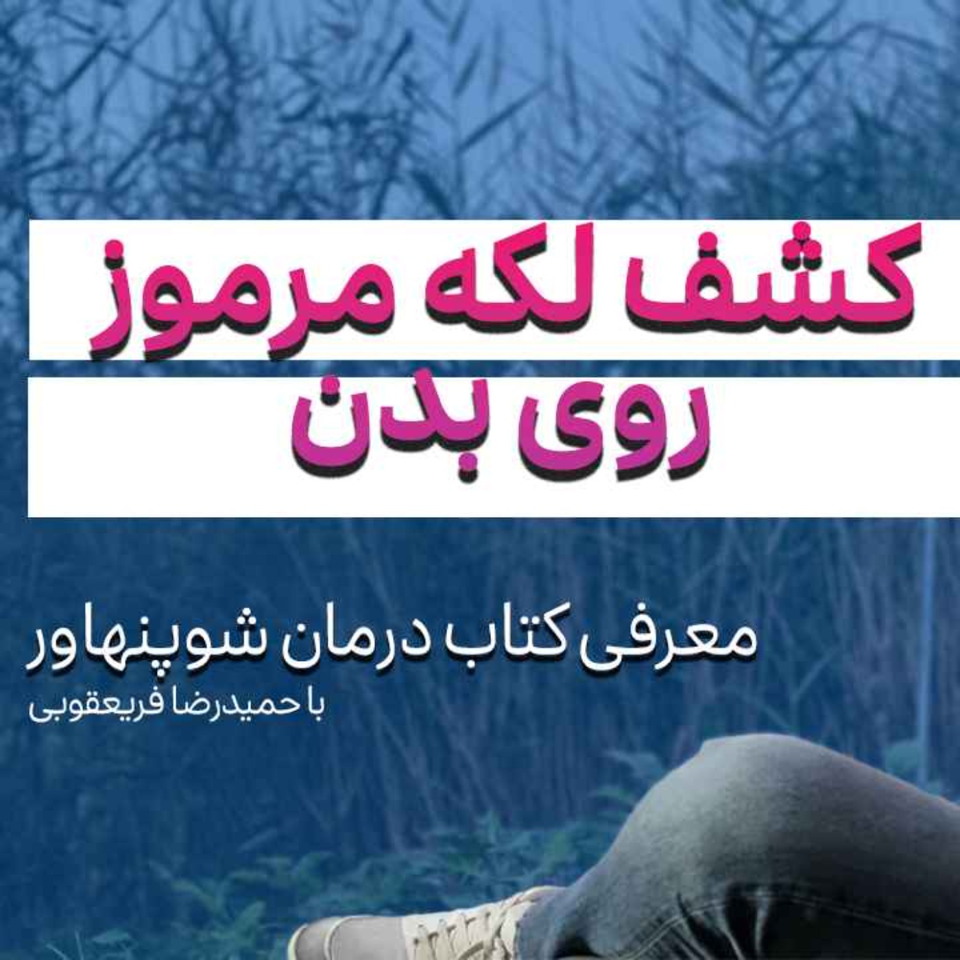 کتاب صوتی درمان شوپنهاور - قسمت اول