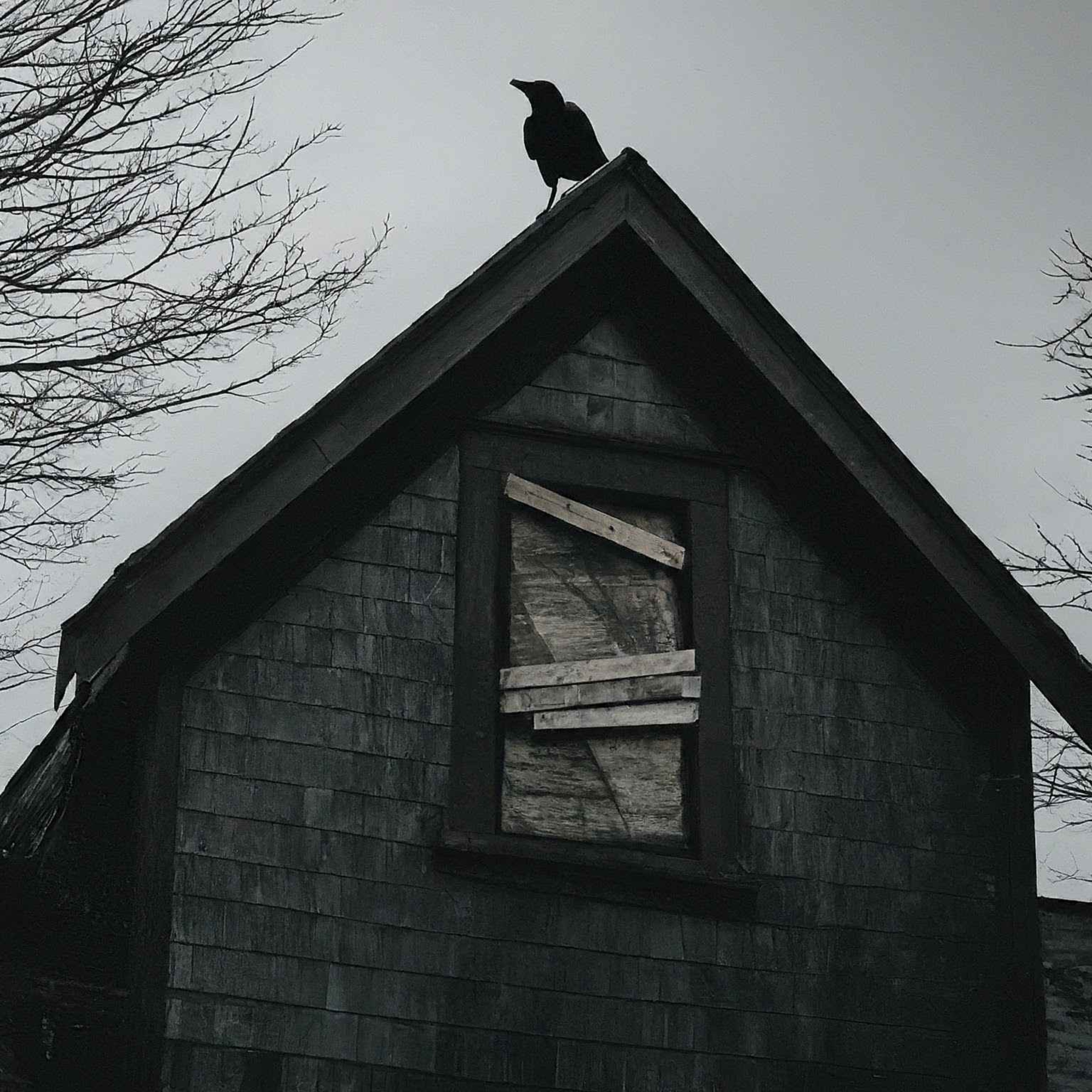 The Silent Invasion: When Squatters Steal Your Home episode artwork