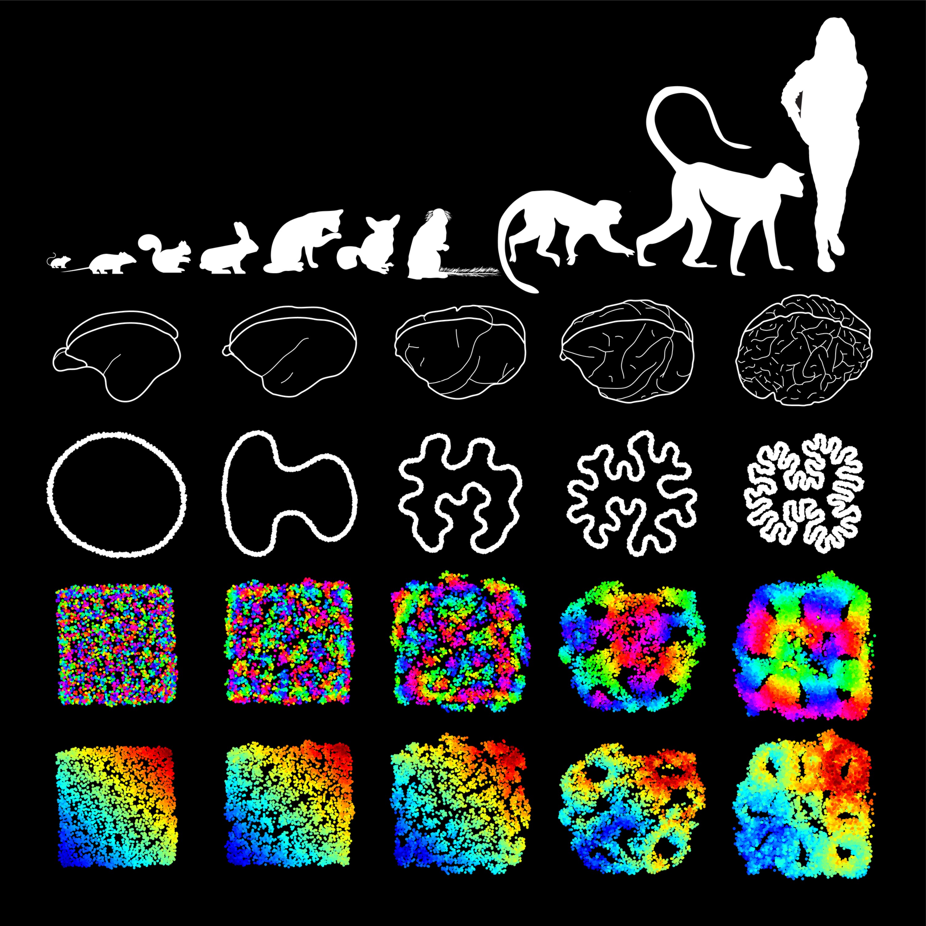 Discussing “Neural Placement Based on Optimization Principles” by Dr. Marvin Weigand