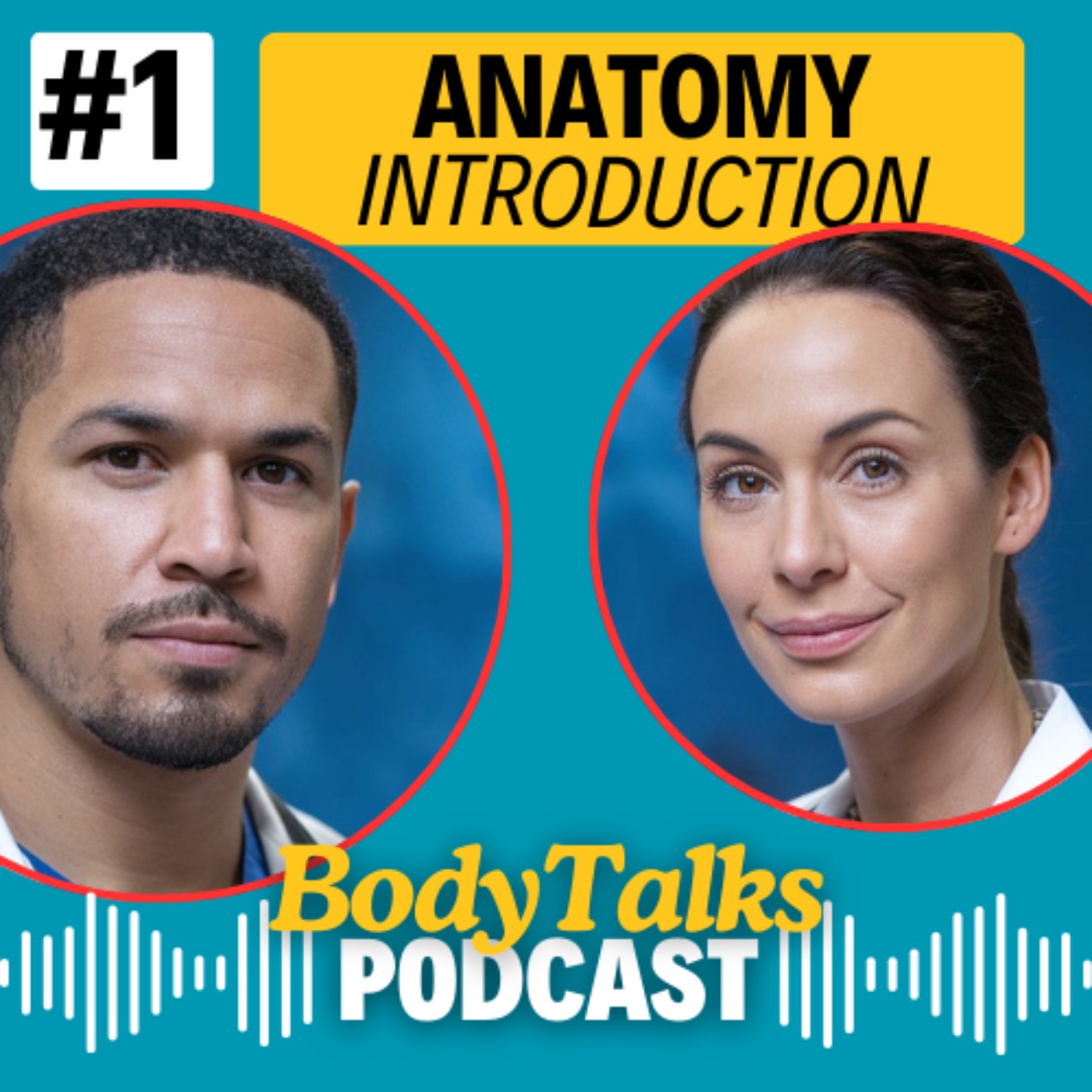 Introduction To Anatomy episode artwork