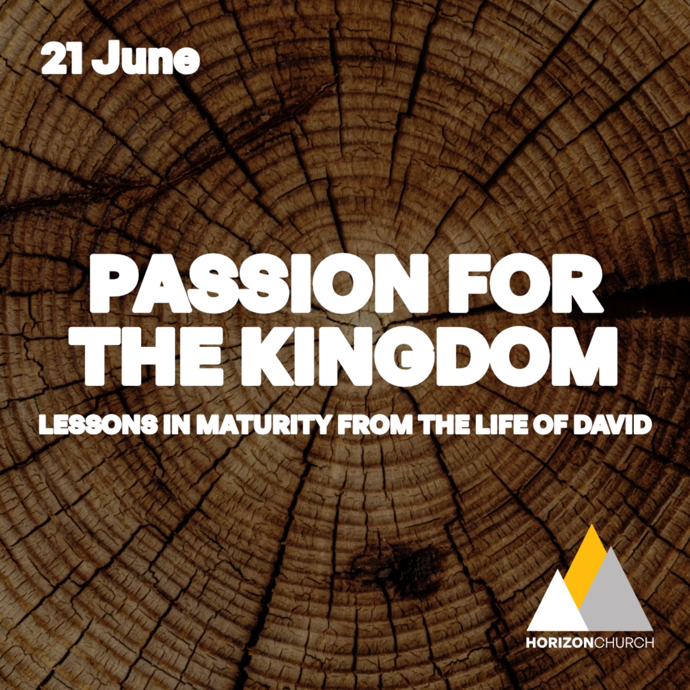 DAVID: Passion for the Kingdom // Matt Pearson episode artwork