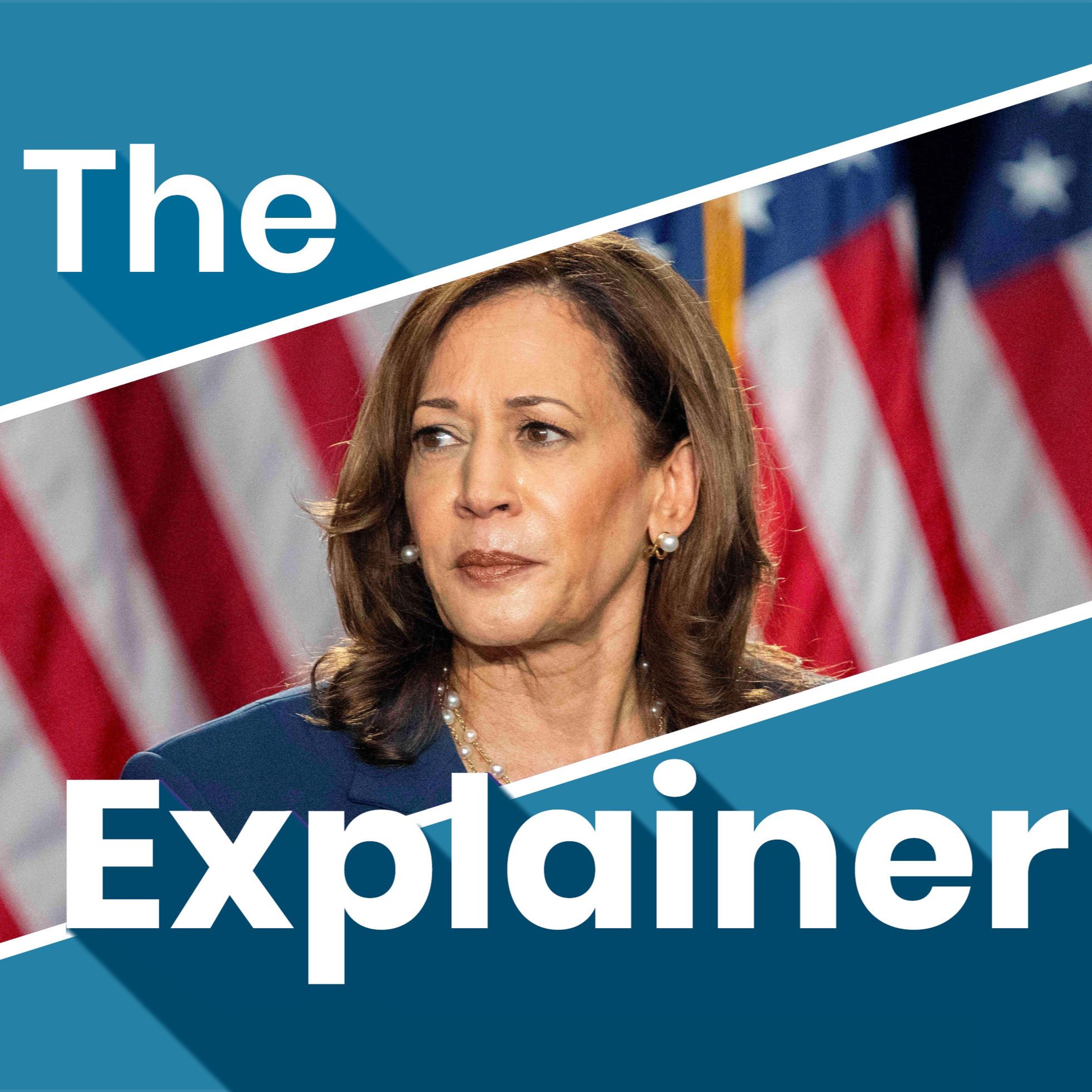 The Explainer