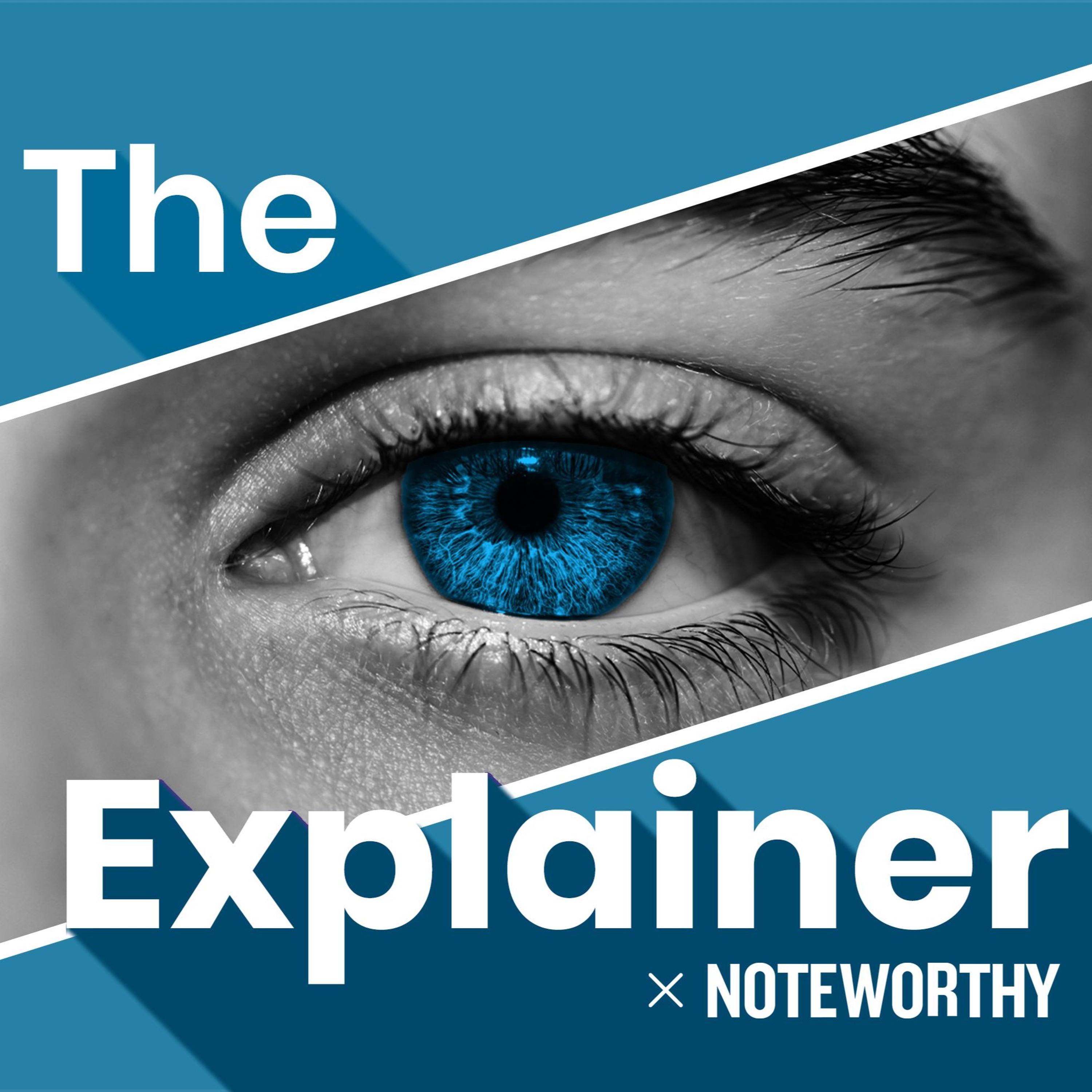 The Explainer