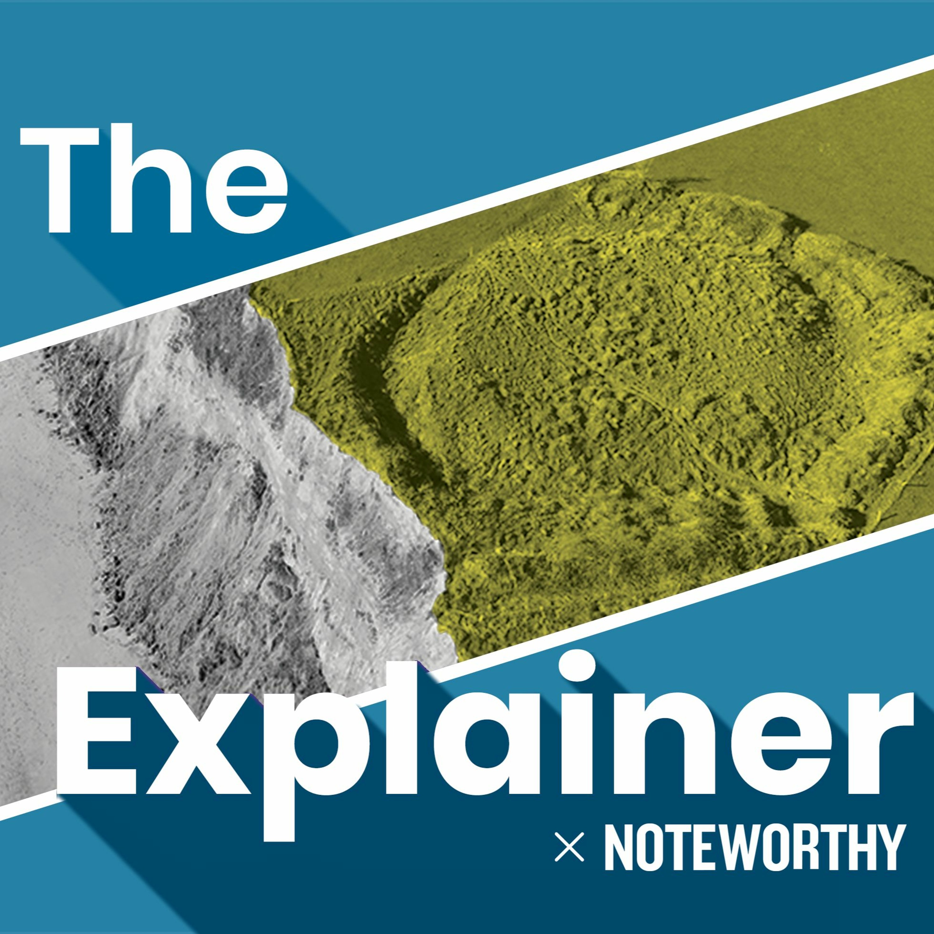 The Explainer