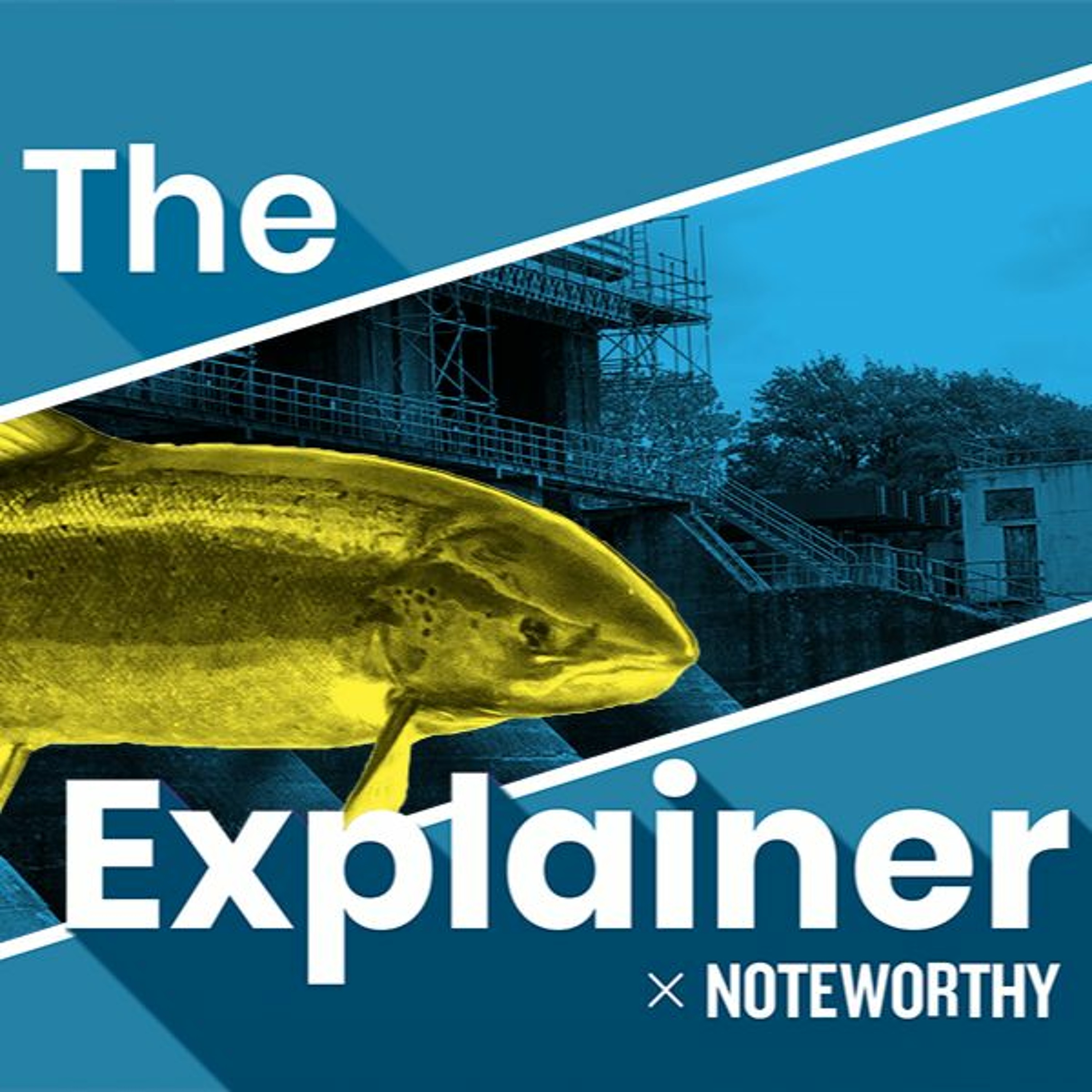 The Explainer