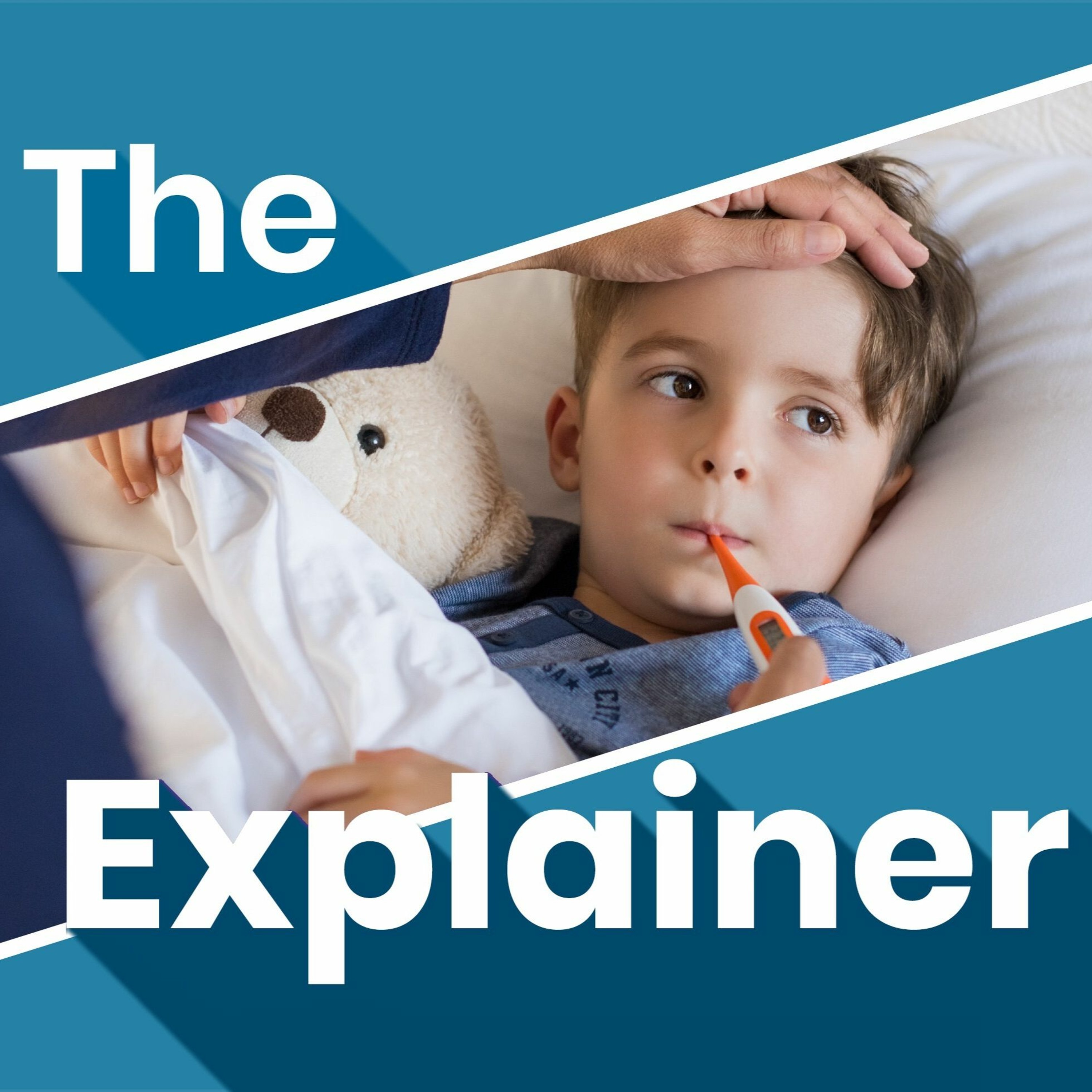 The Explainer