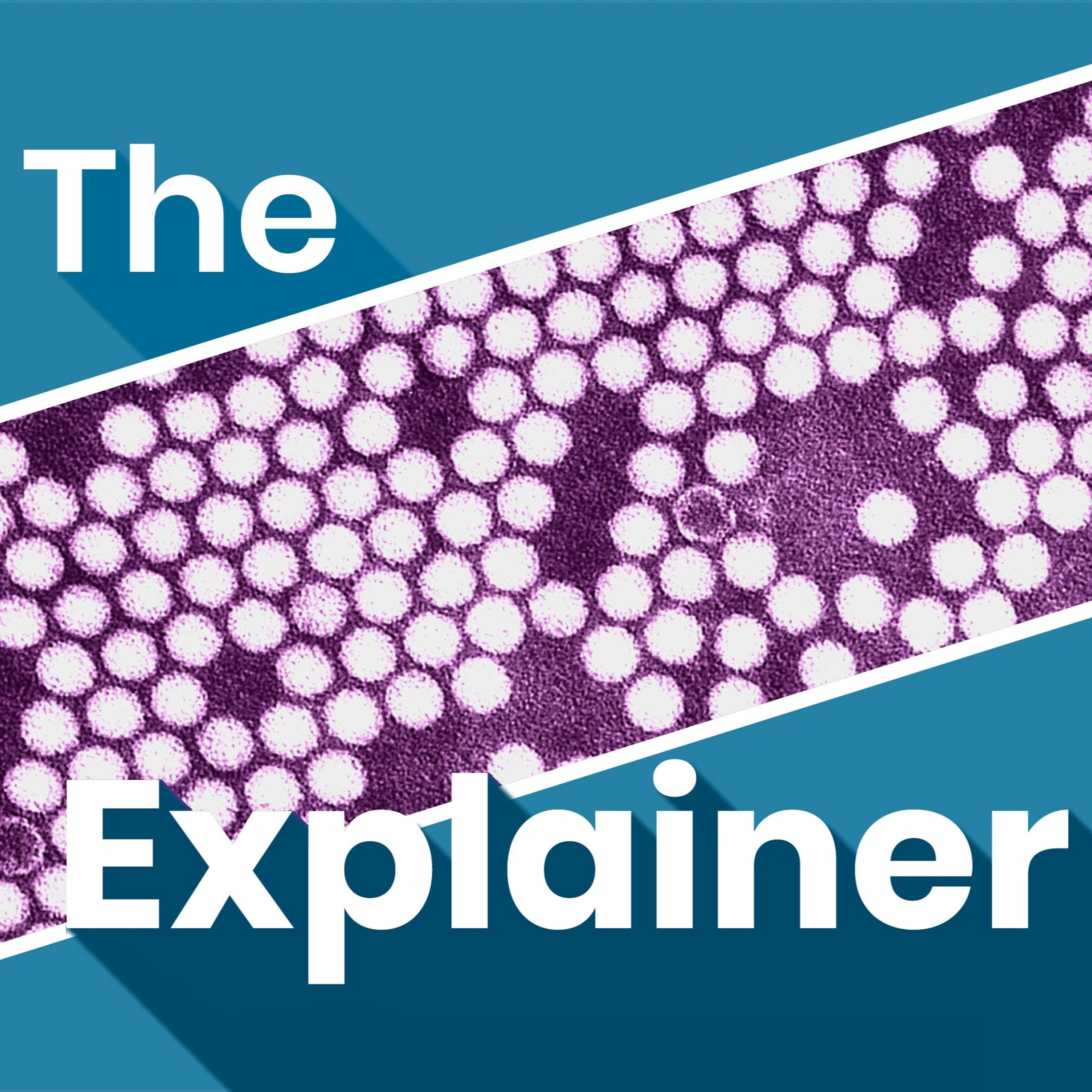 The Explainer