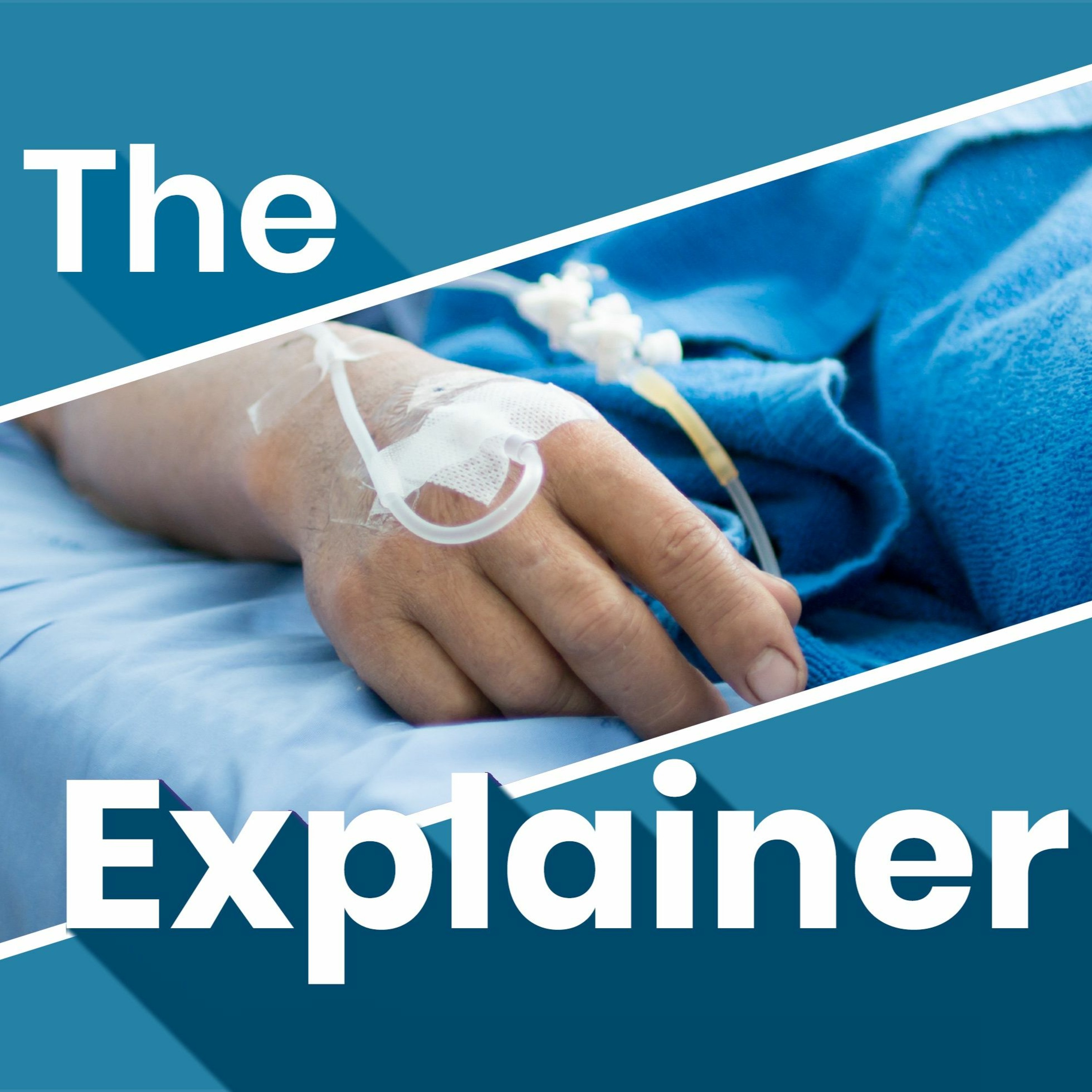 The Explainer