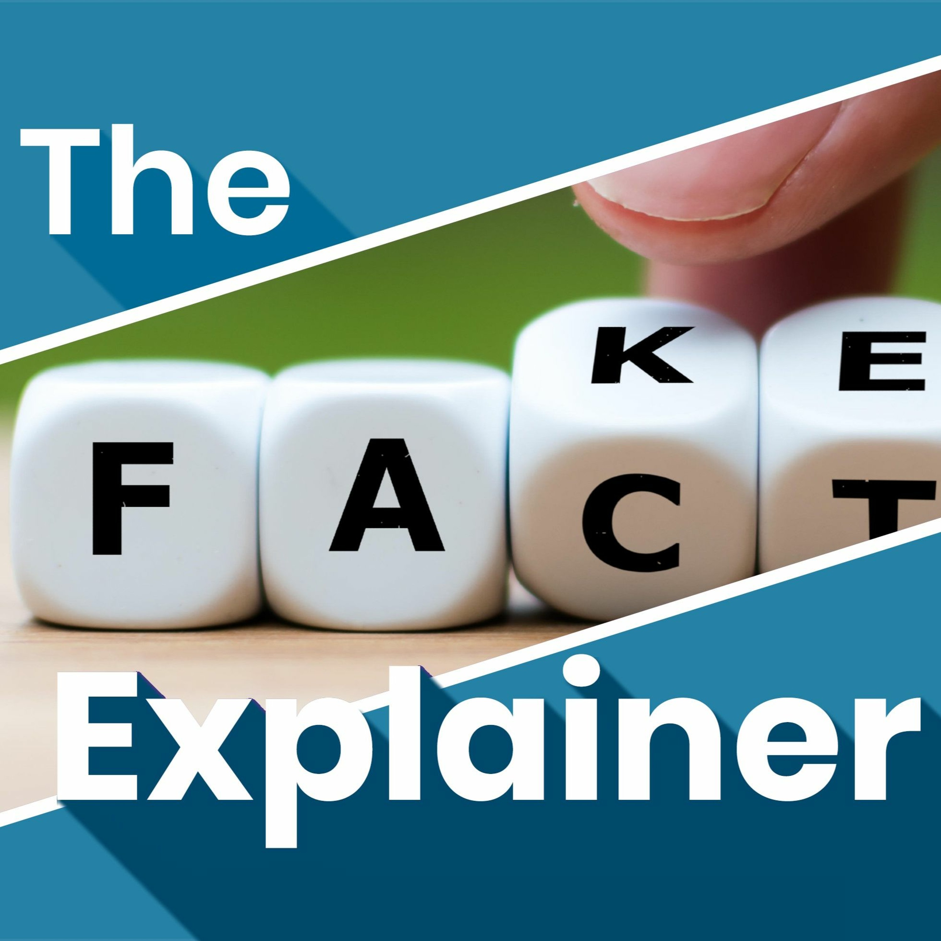 The Explainer