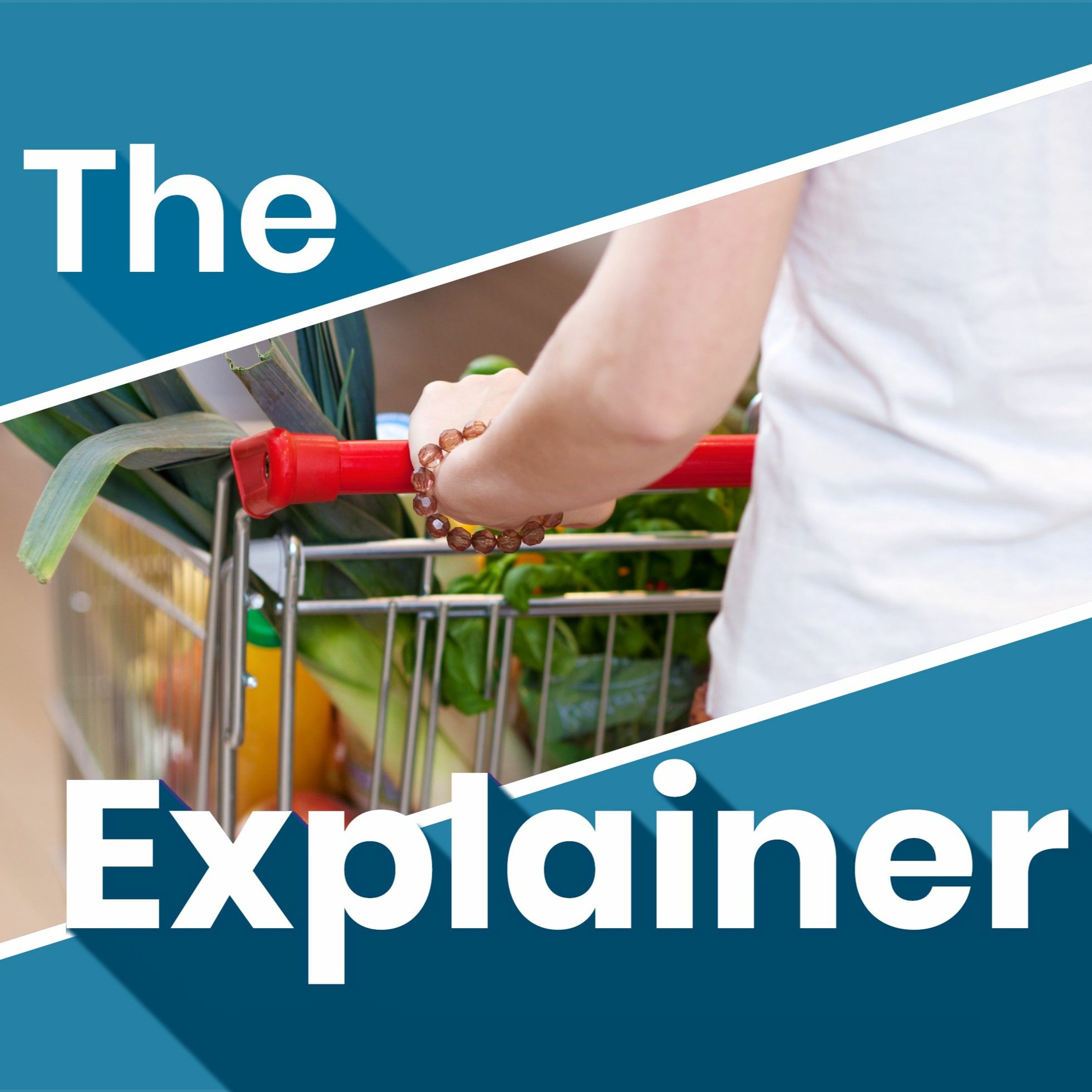 The Explainer