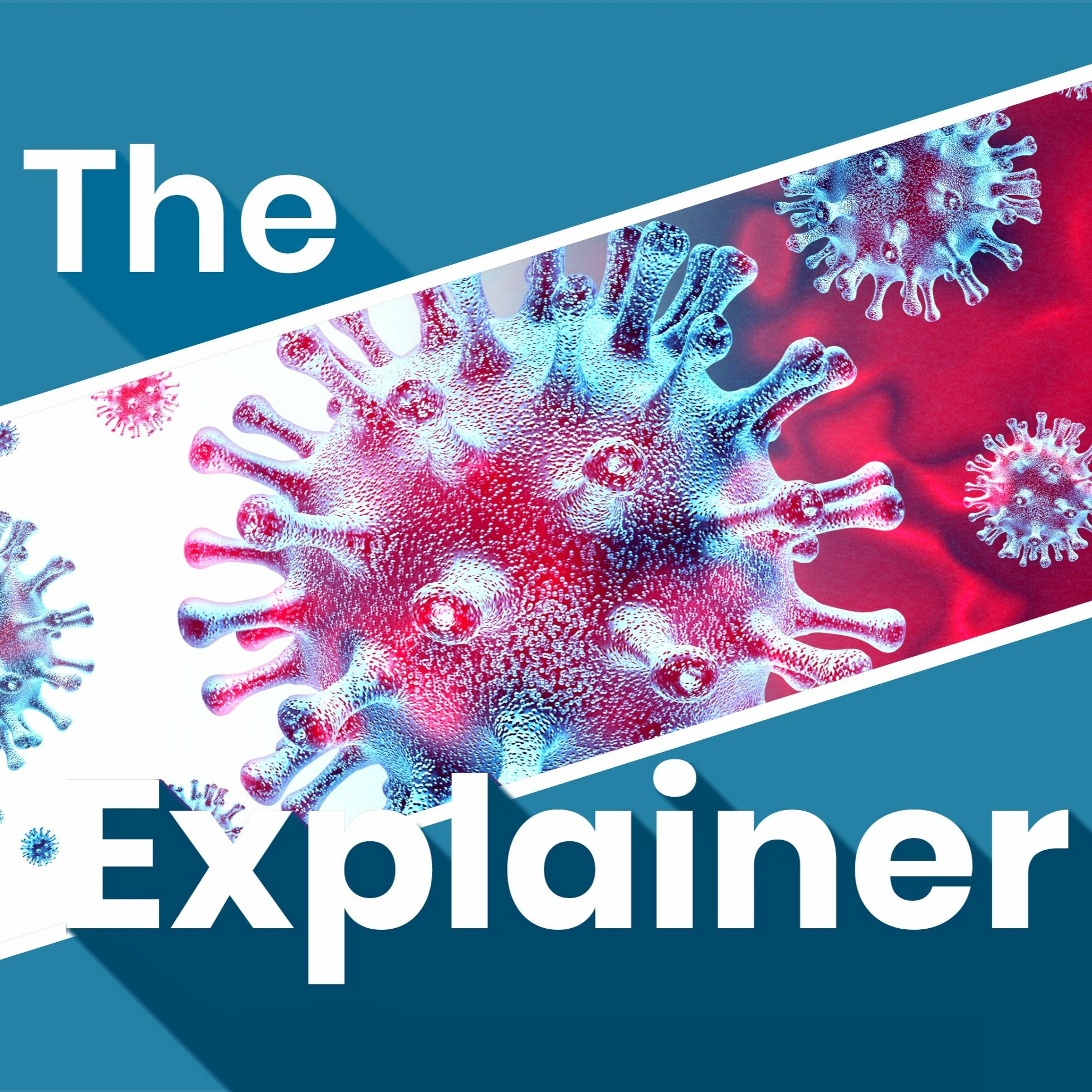 The Explainer