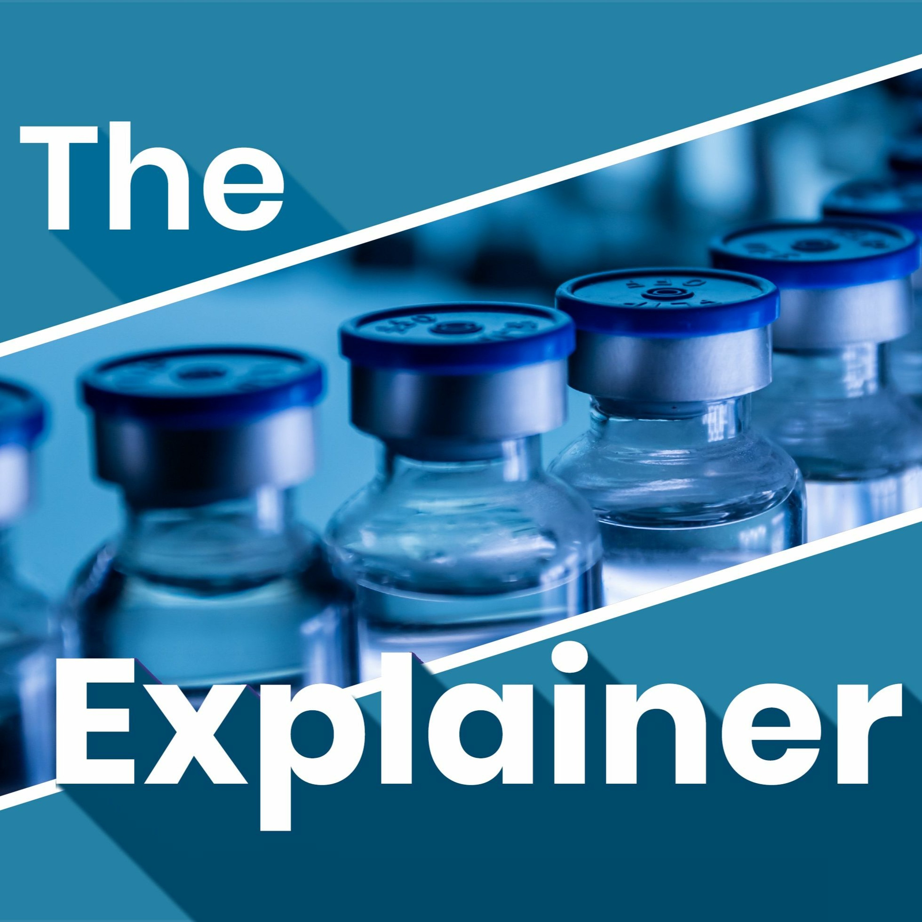 The Explainer