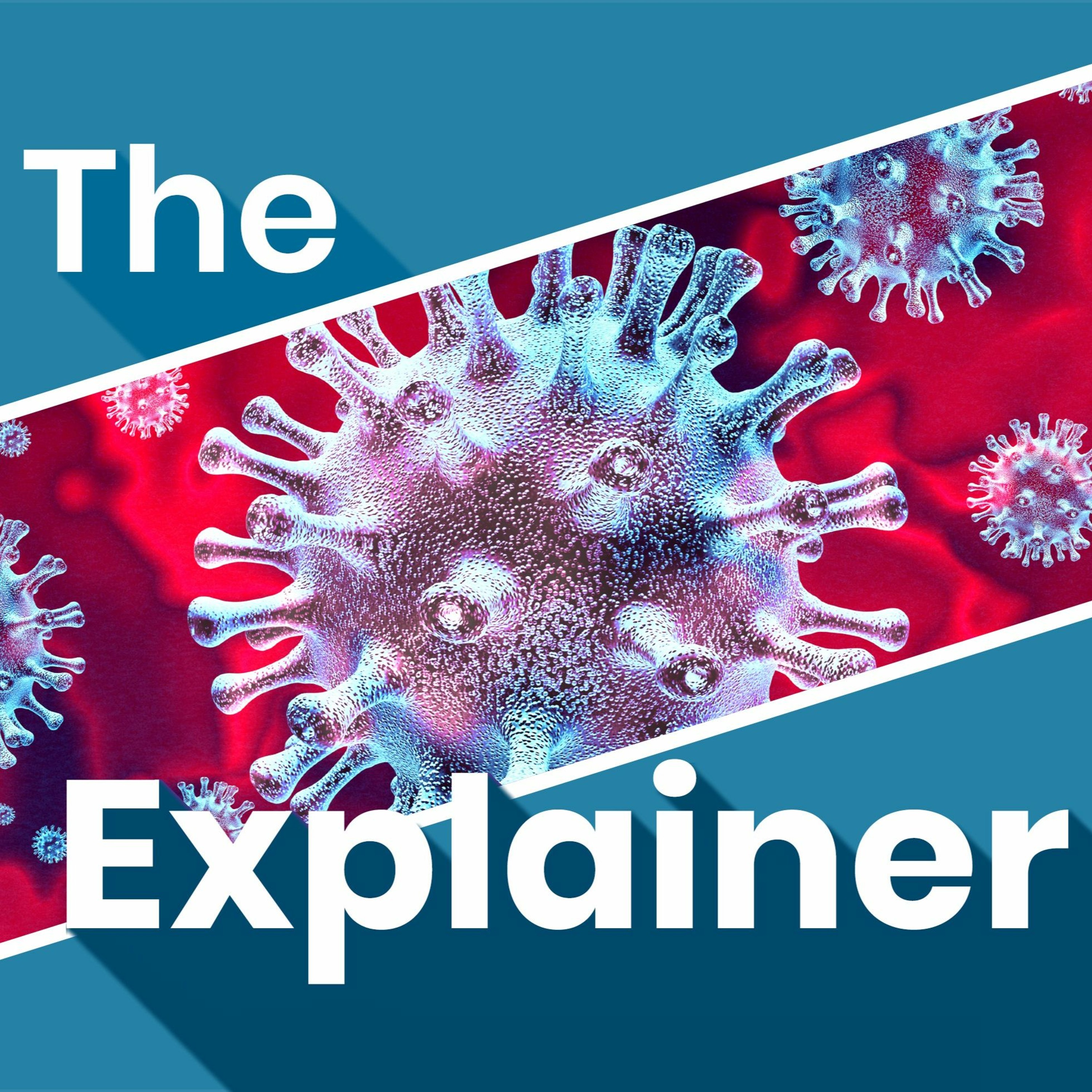 The Explainer