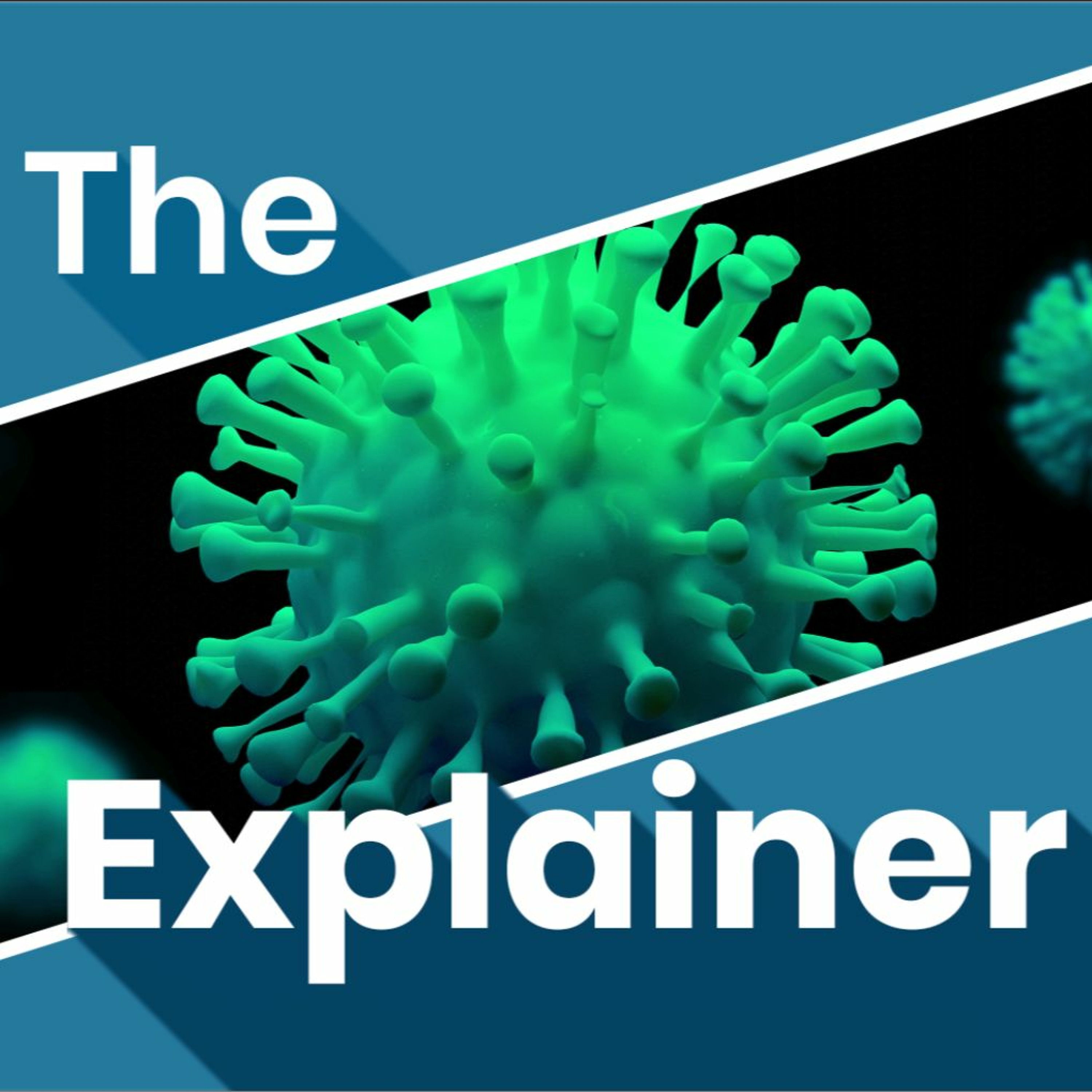 The Explainer