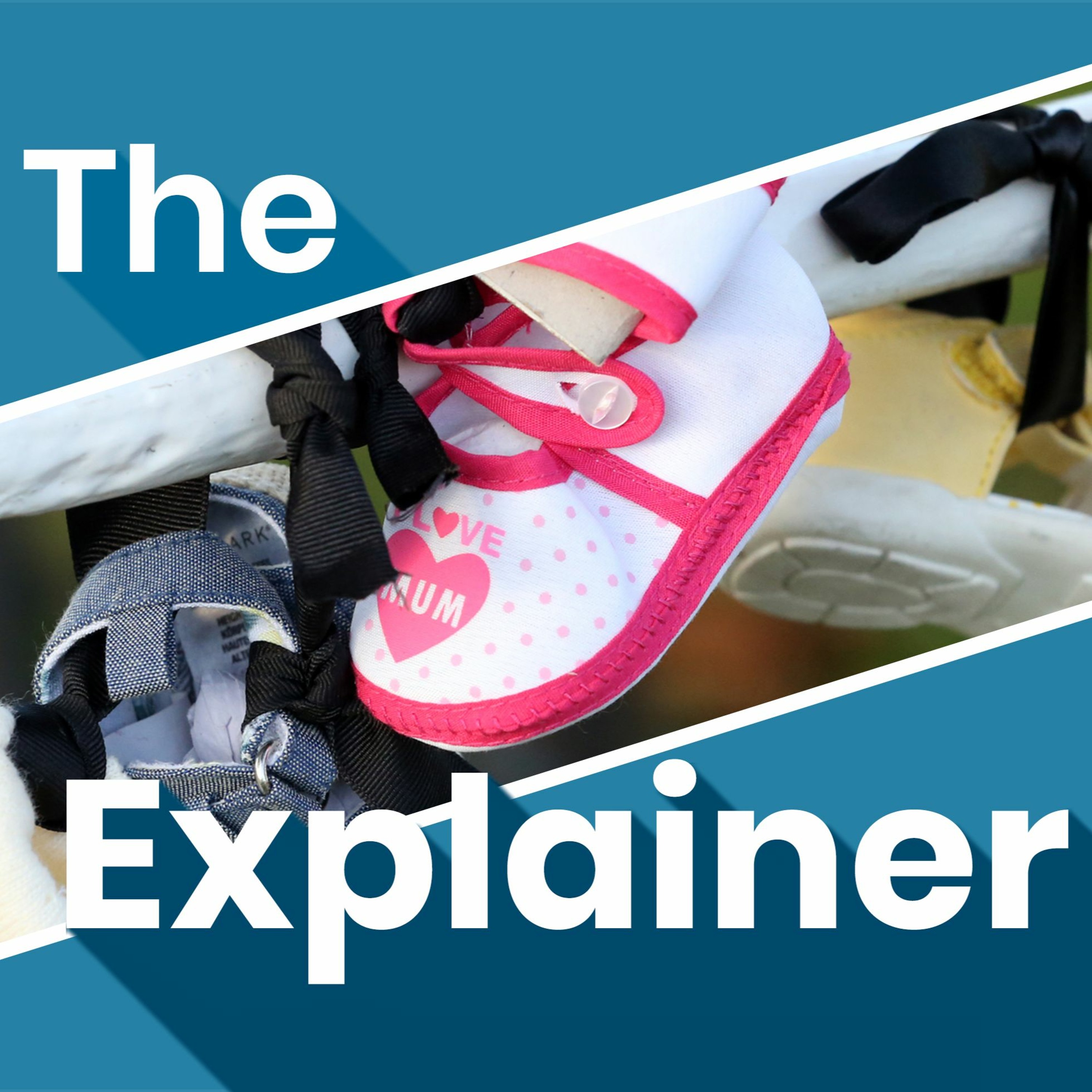 The Explainer