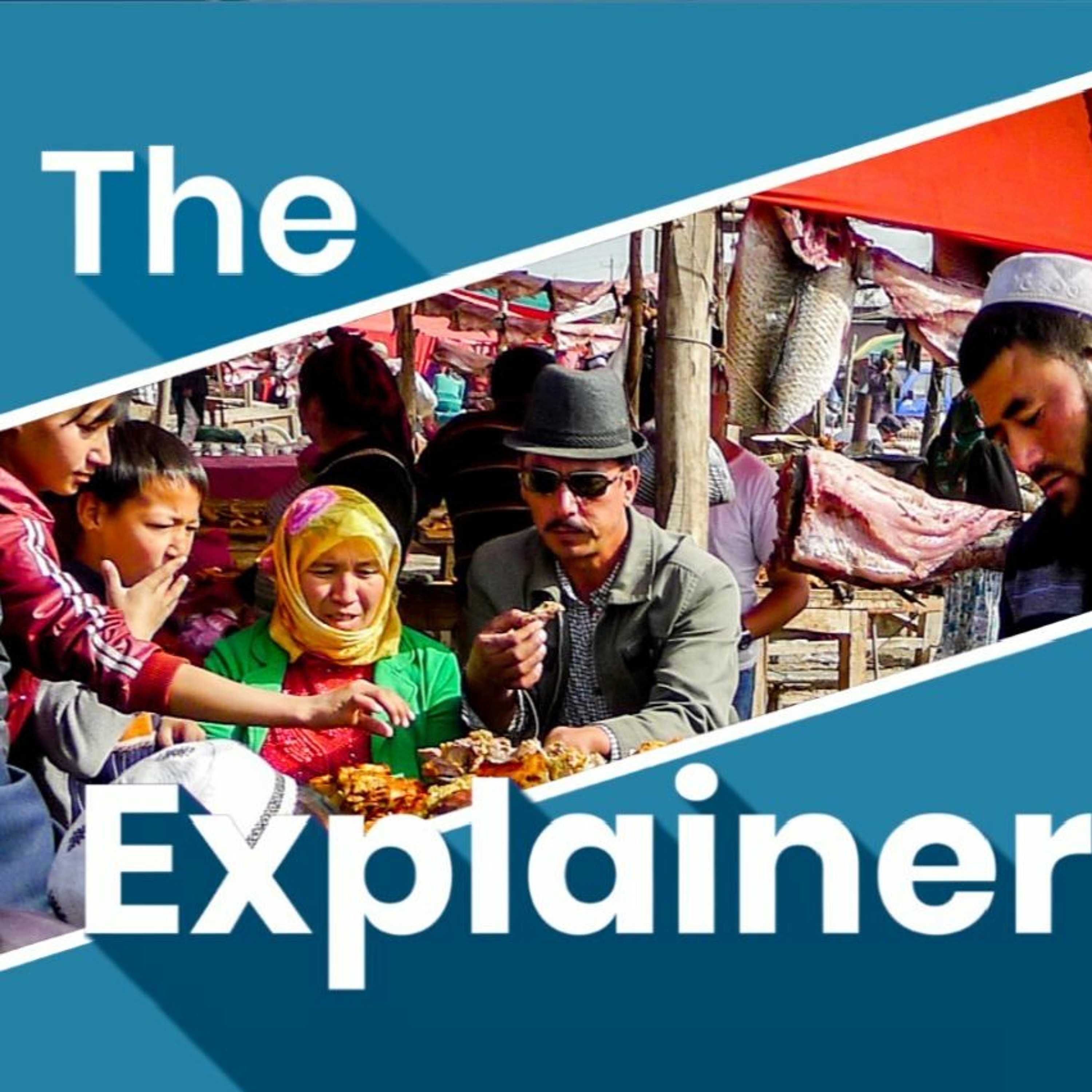 The Explainer