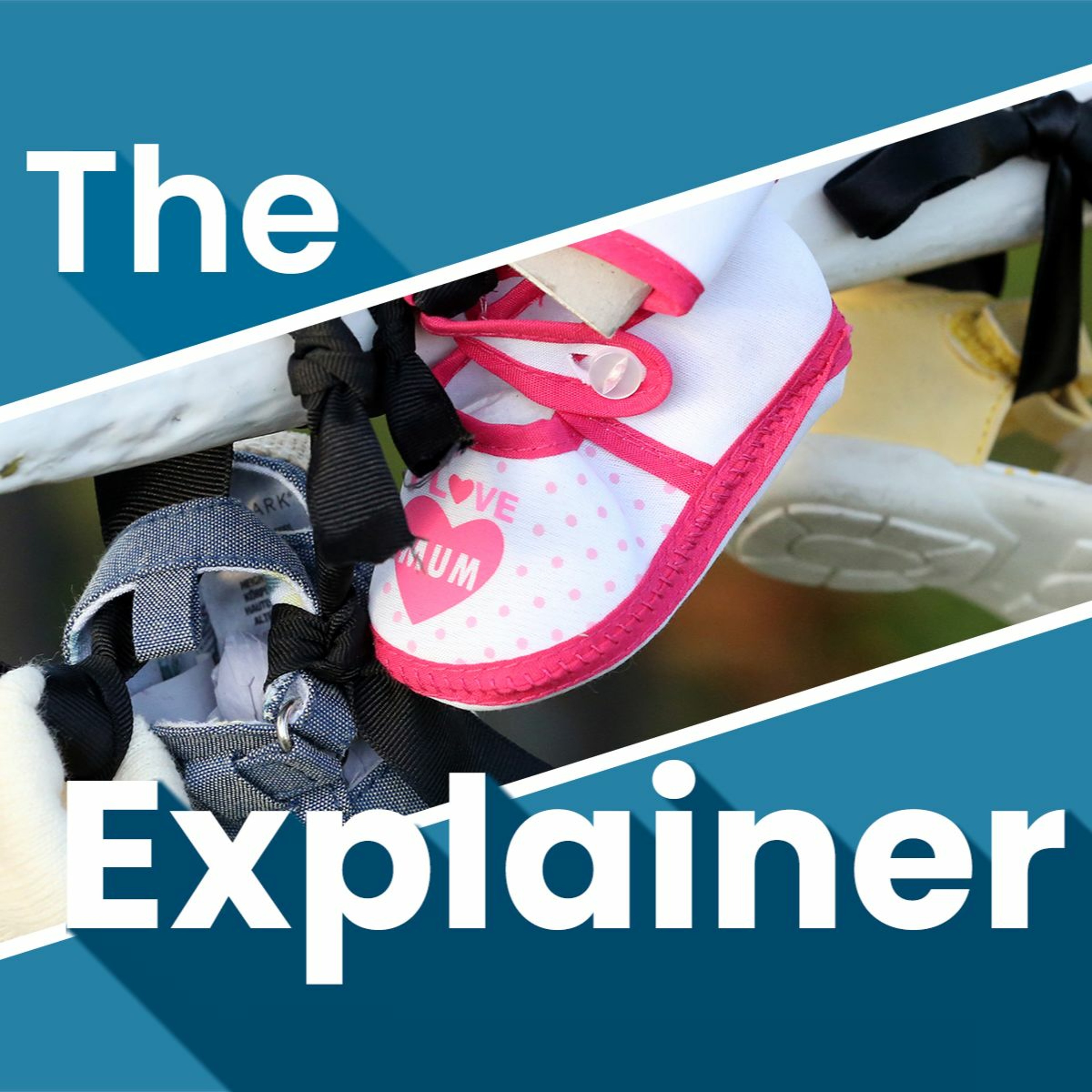 The Explainer