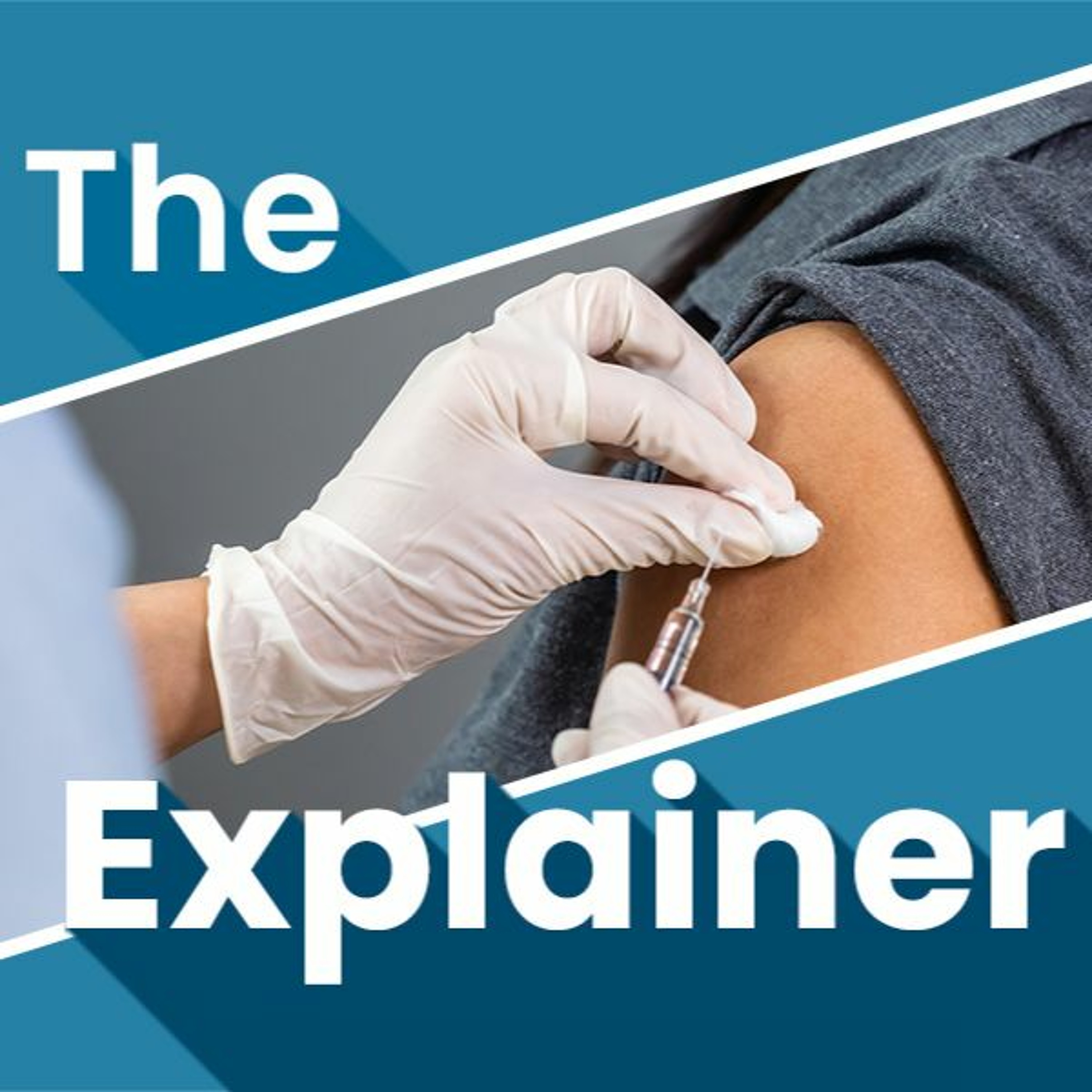 The Explainer