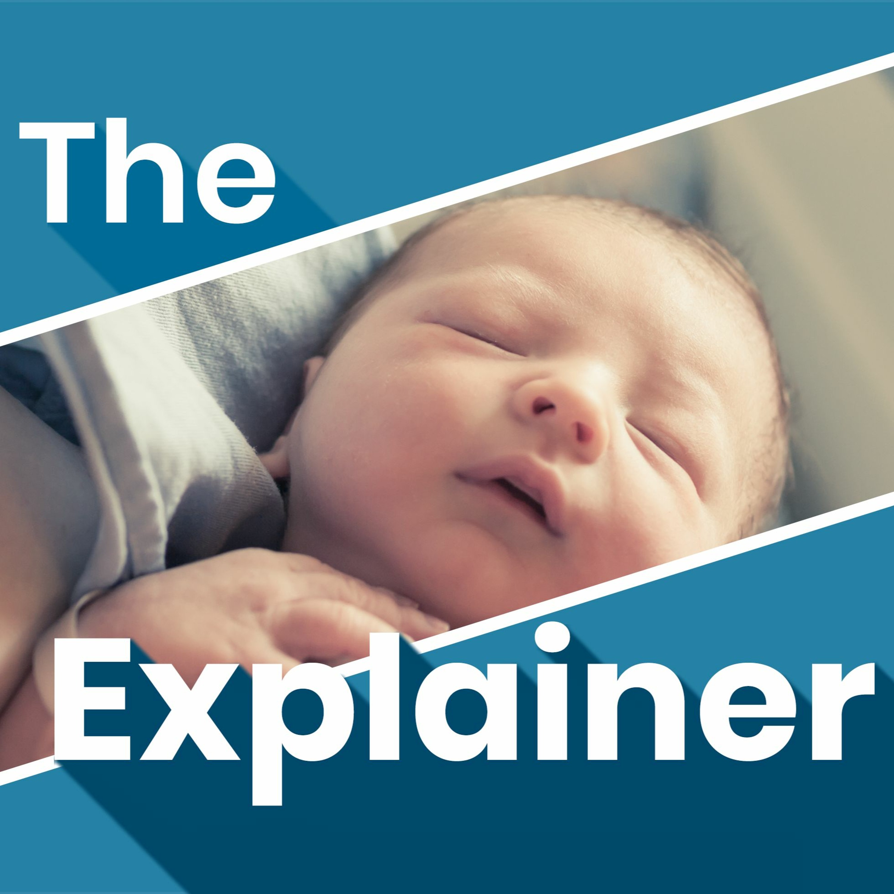 The Explainer