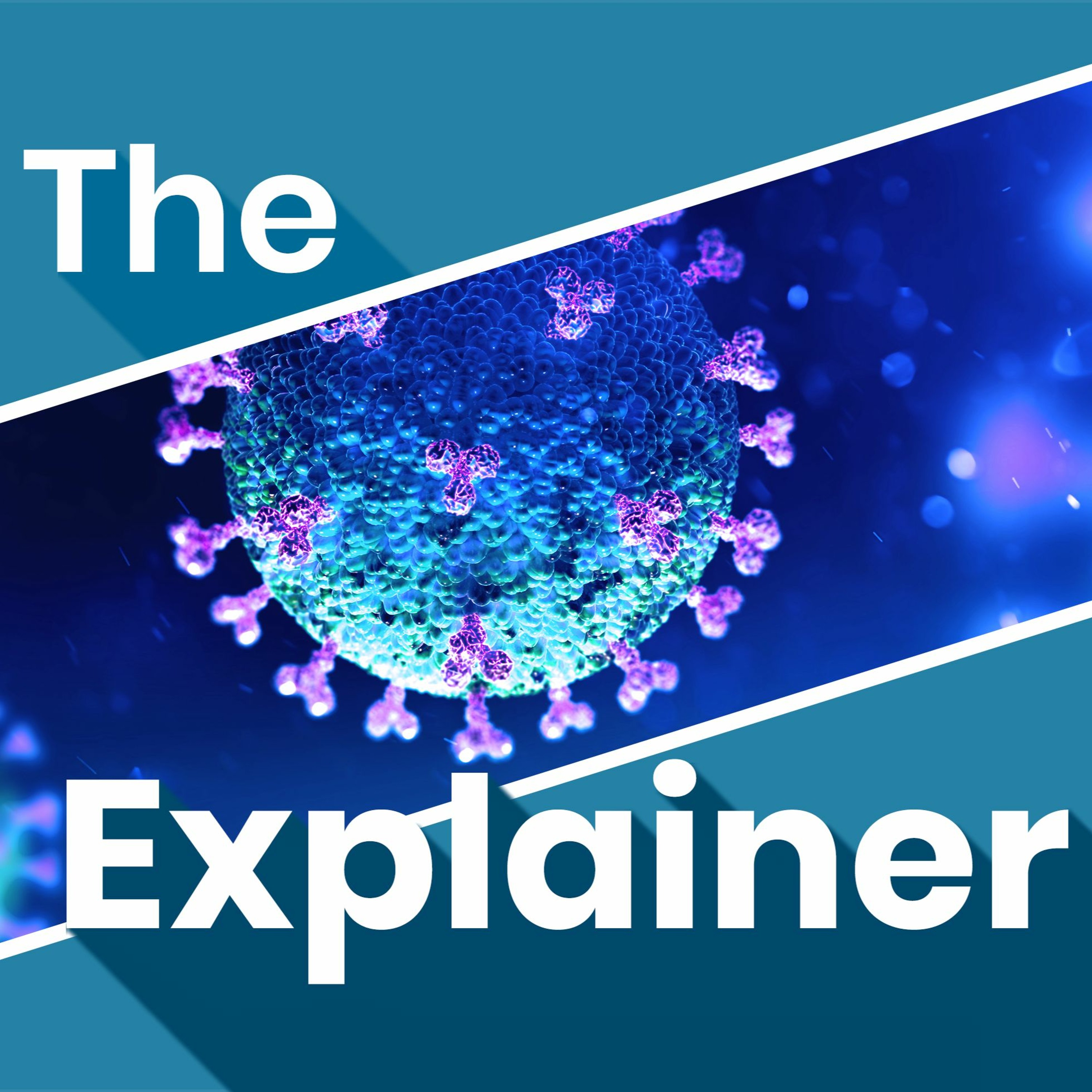 The Explainer