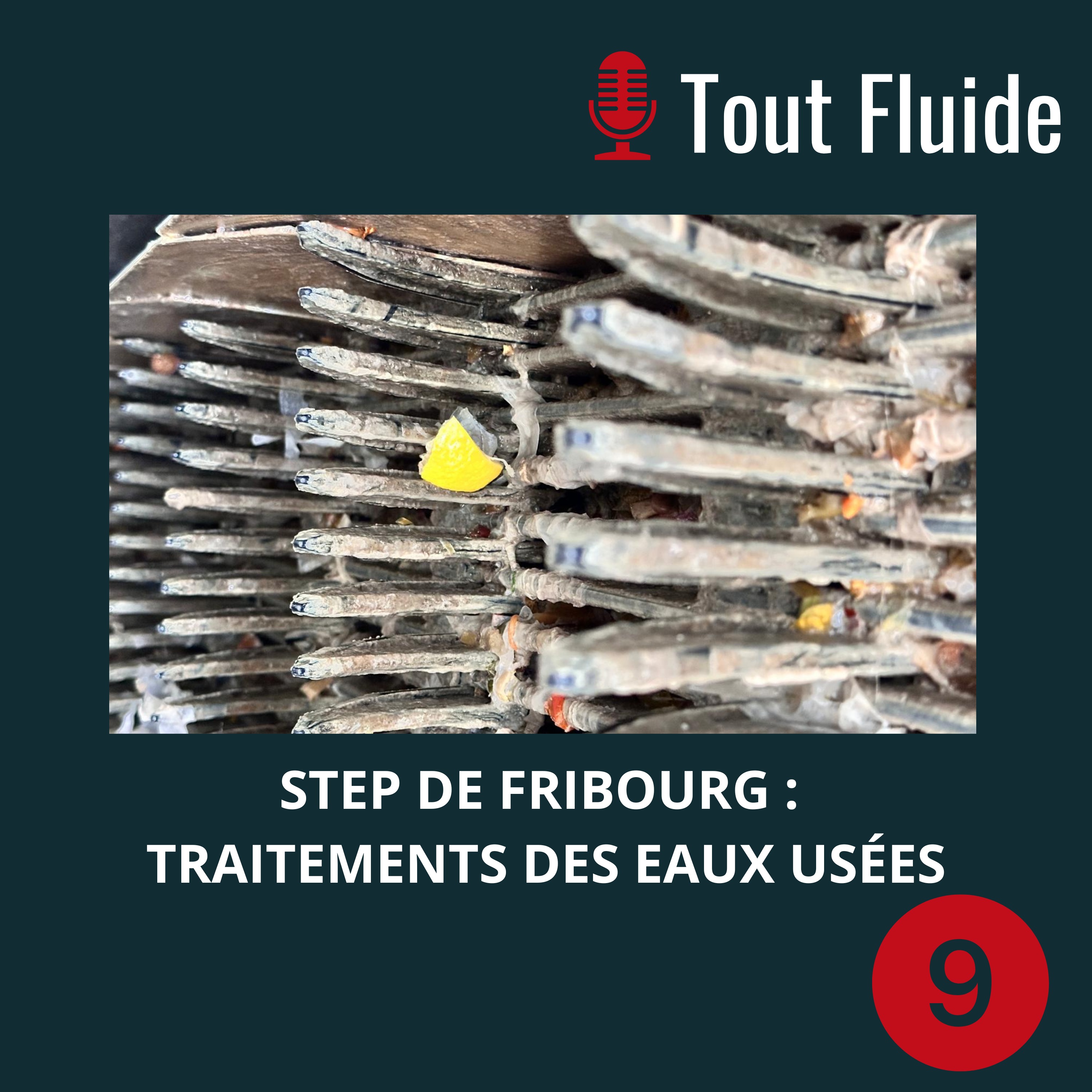 9 - Plongée au cœur de la STEP de Fribourg et du traitement des eaux usées episode artwork