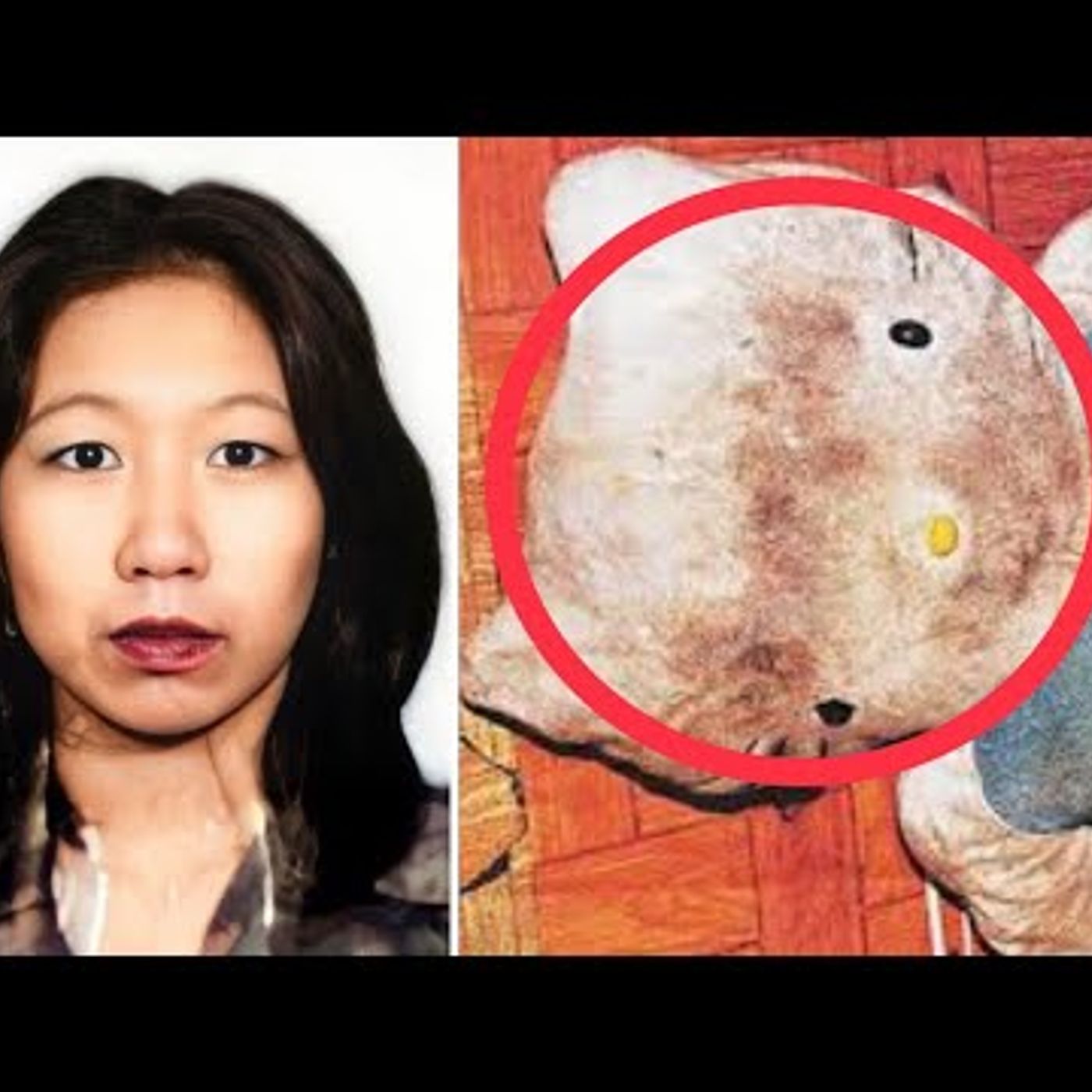 43. Escondió el CU3RPO en un PELUCHE - El CASO de Hello Kitty - DOCUMENTAL 👁 episode artwork
