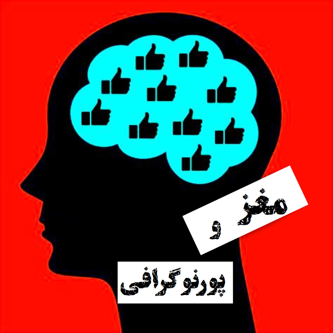 مغز و  پورنو گرافی