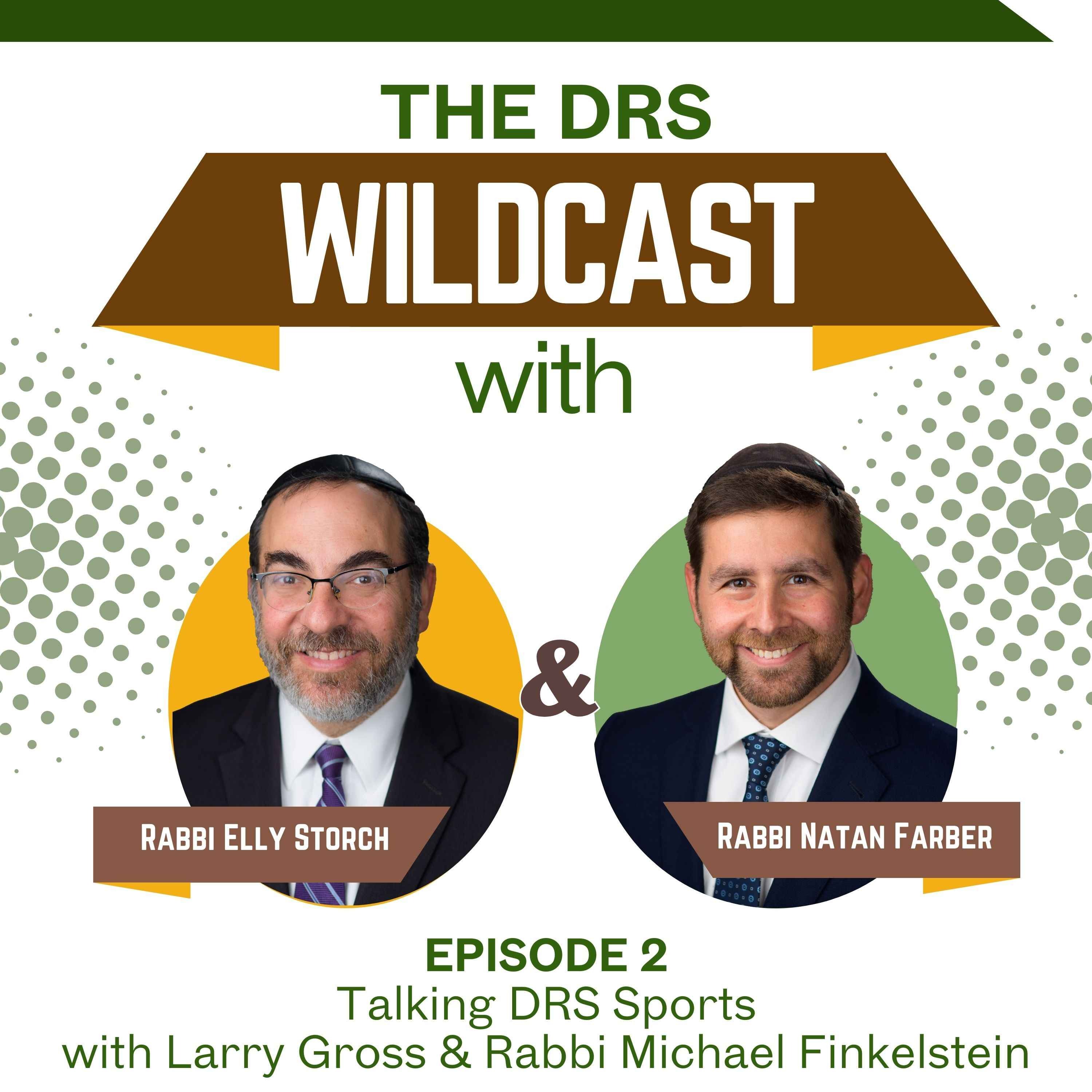 The DRS Wildcast